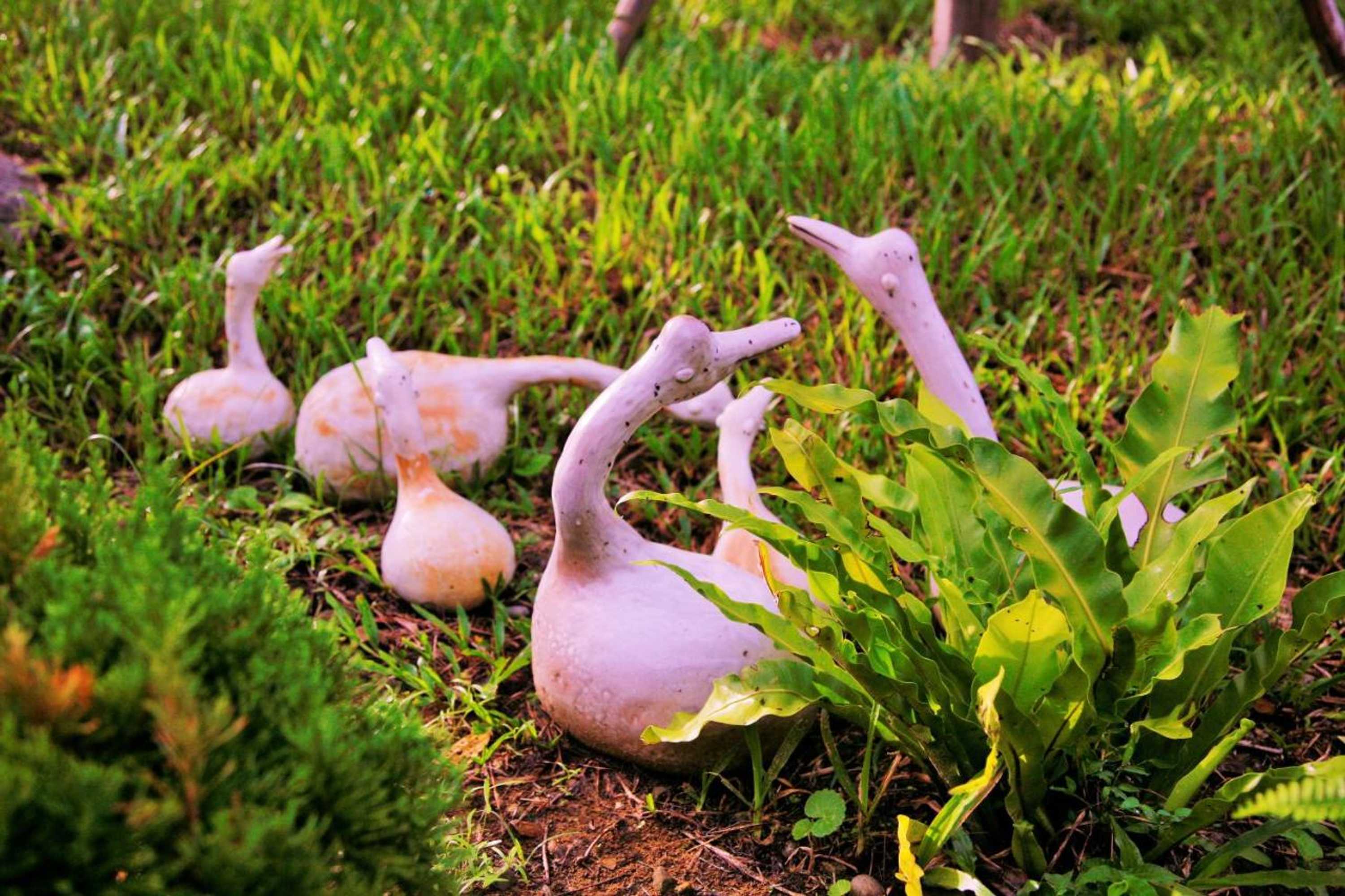 Gift card for Nanzhuang Yanzitao