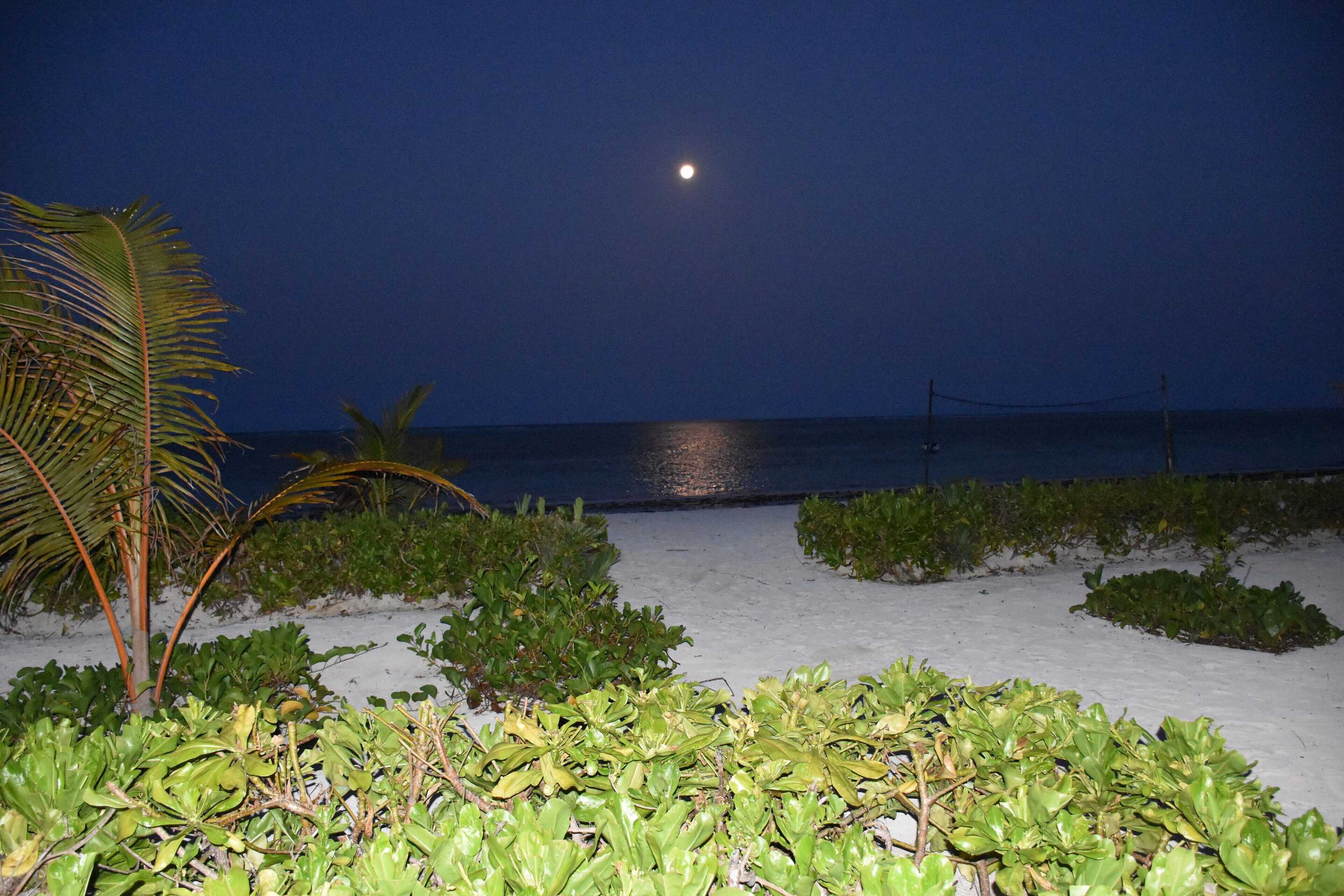 Gift card for Pwani Silver Sand Beach Hotel