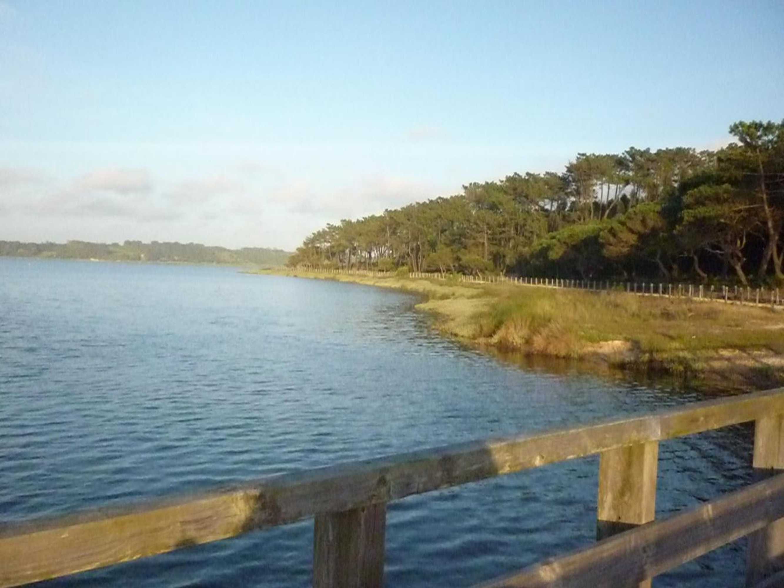 Gift card for Casa Picva