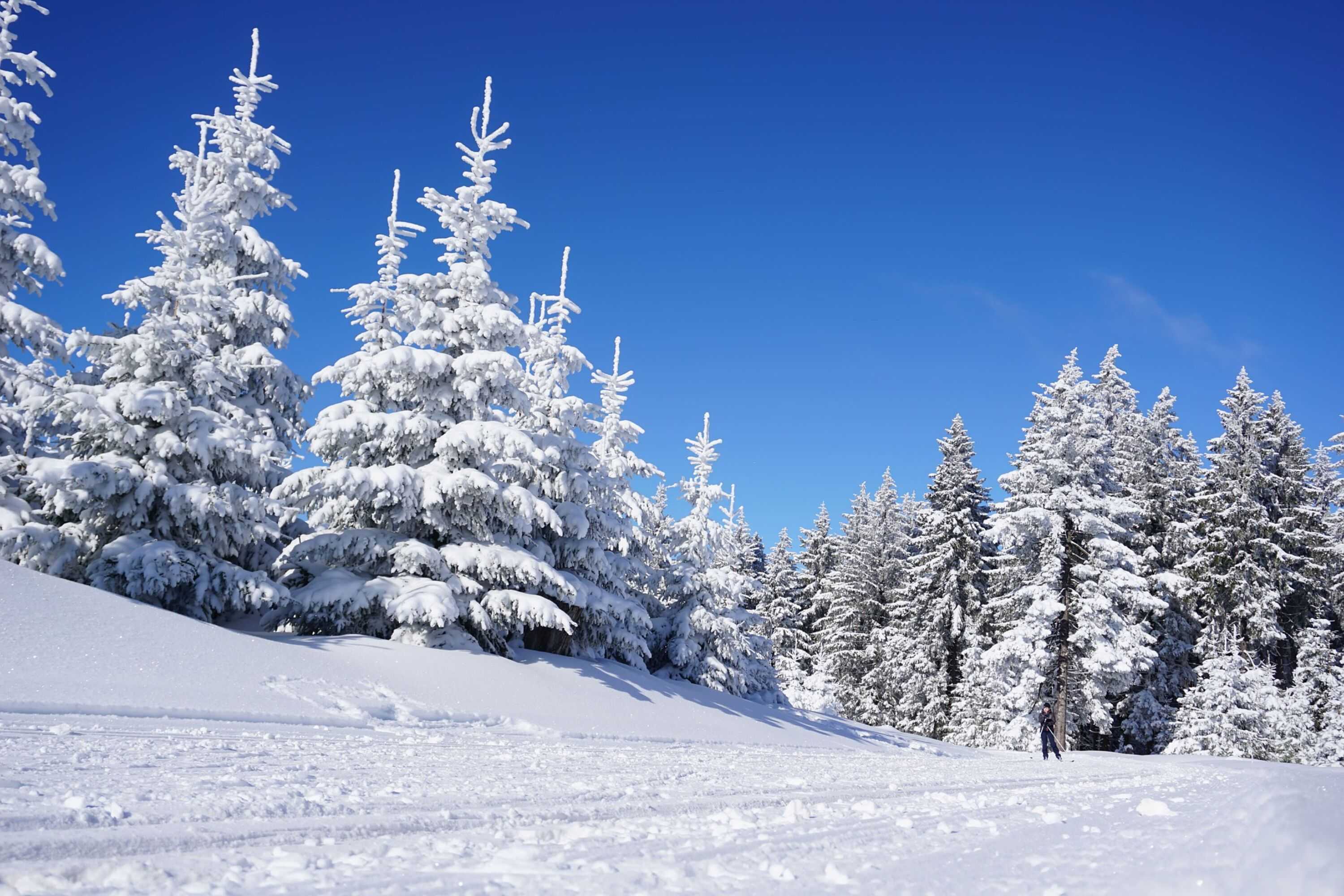 Gift card for Ski & Spa Bellevue Harrachov Gift card for Ski & Spa Bellevue Harrachov