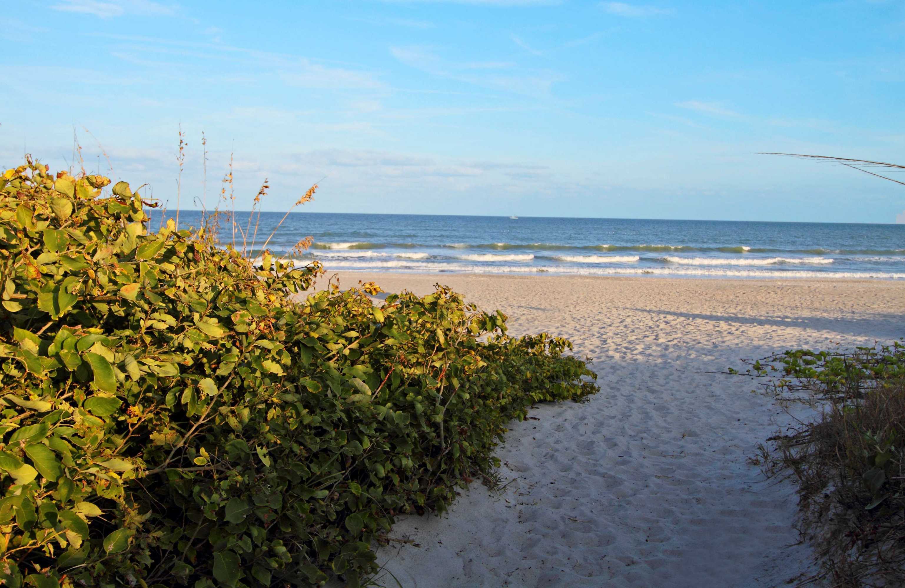 Gift card for Hampton Inn Cocoa Beach/cape Canaveral Gift card for Hampton Inn Cocoa Beach/cape Canaveral