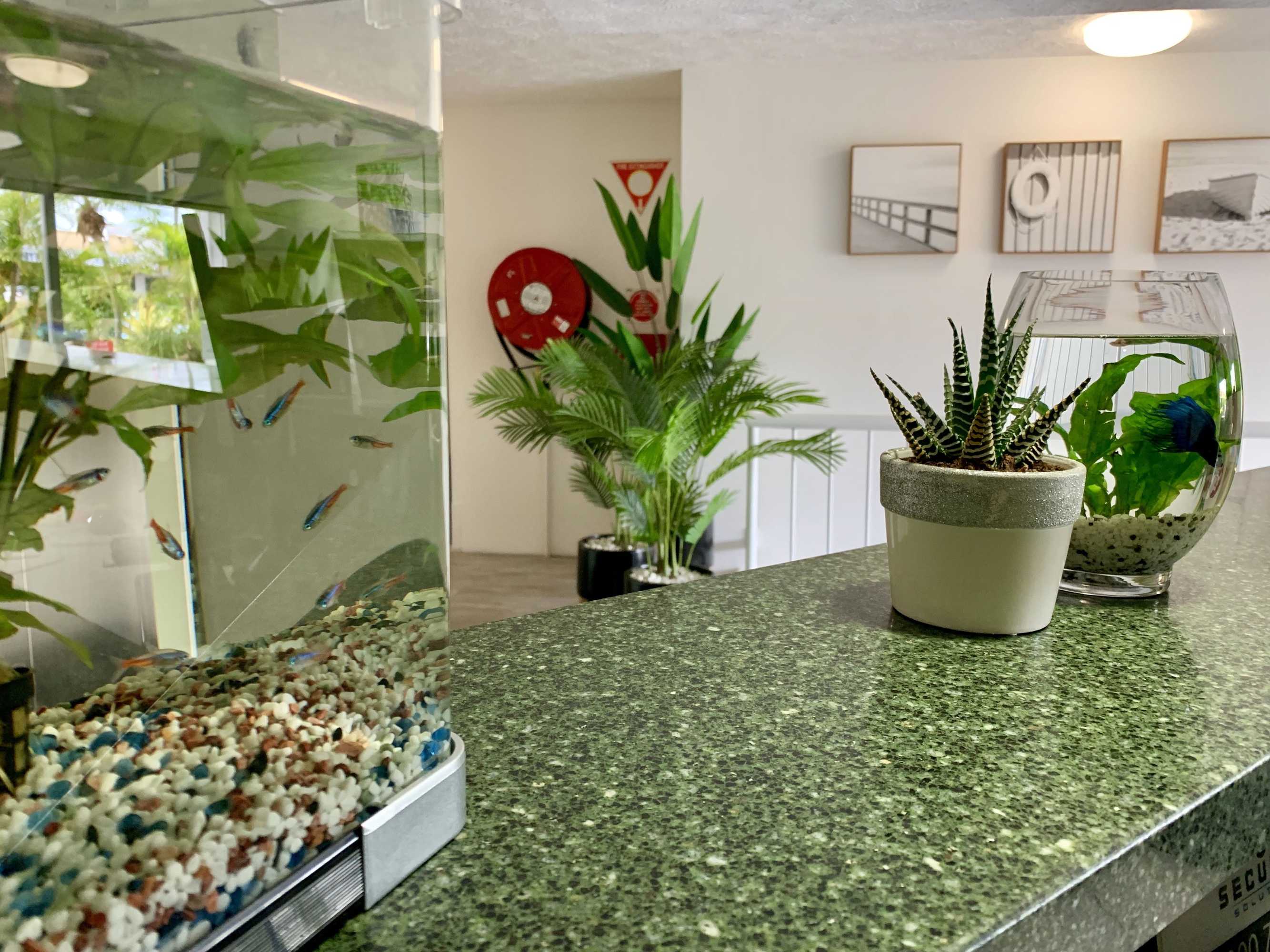 Gift card for Outrigger Burleigh