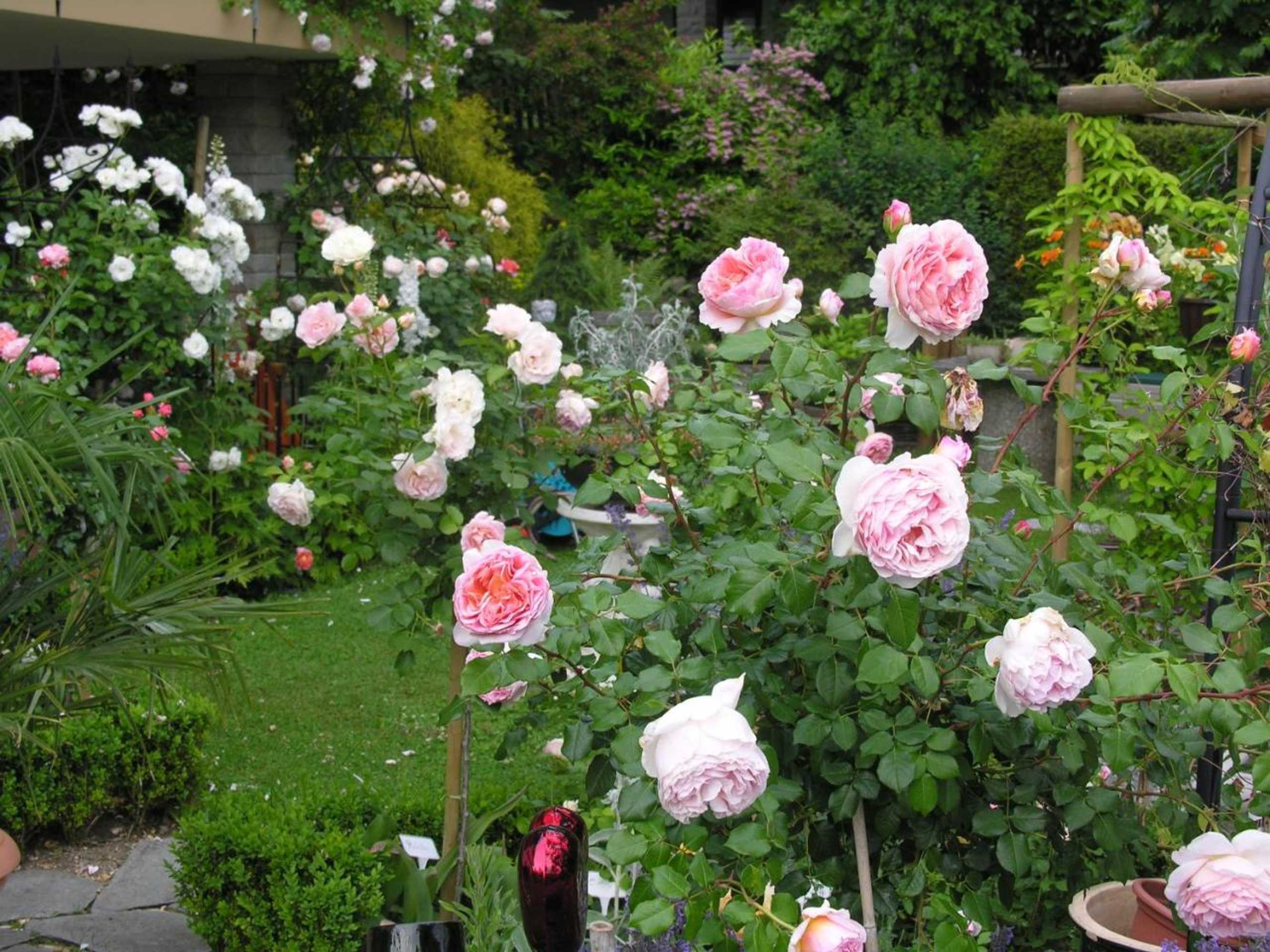 Gift card for Im Röseligarten