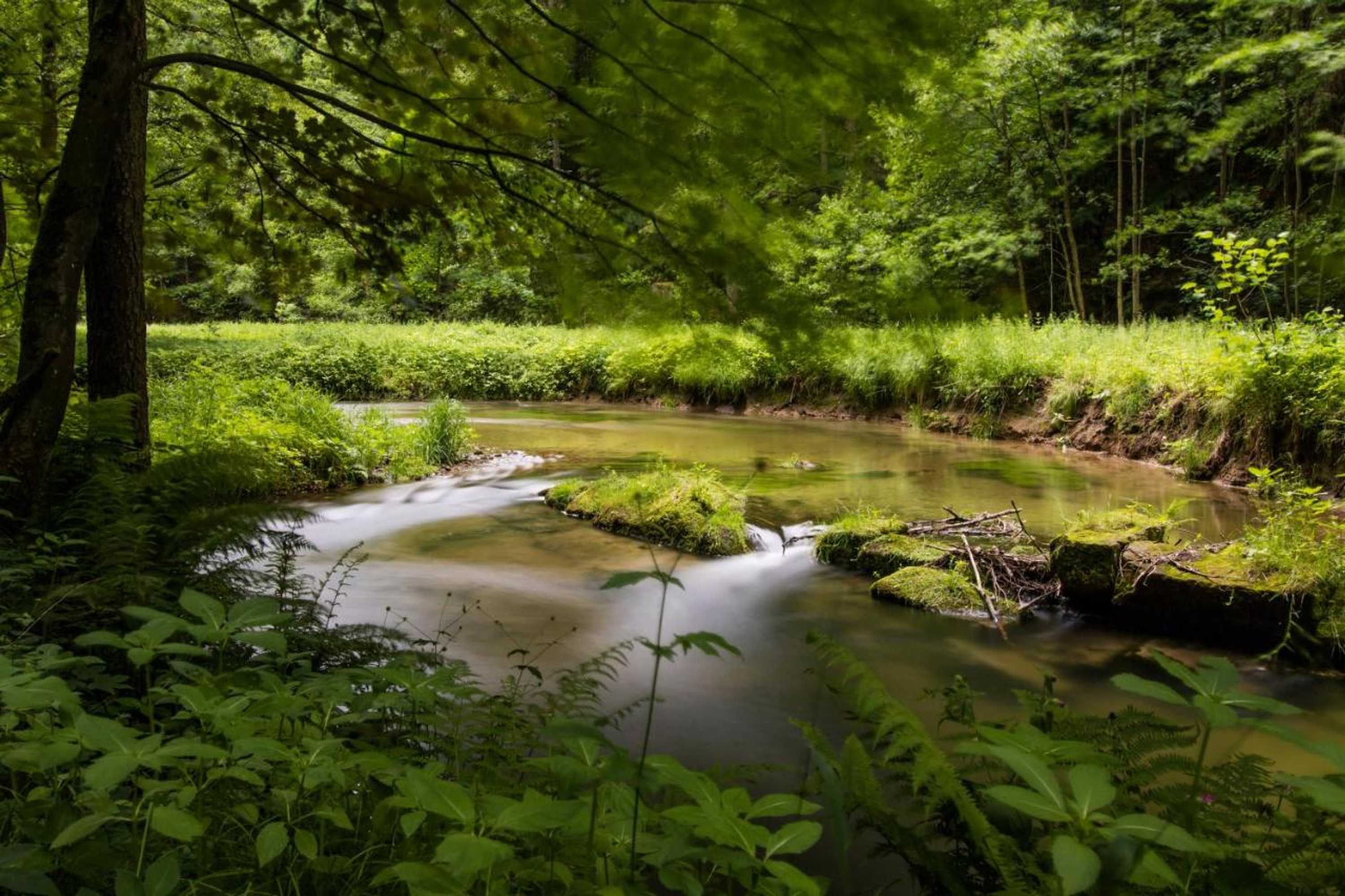 Gift card for Gasthaus 