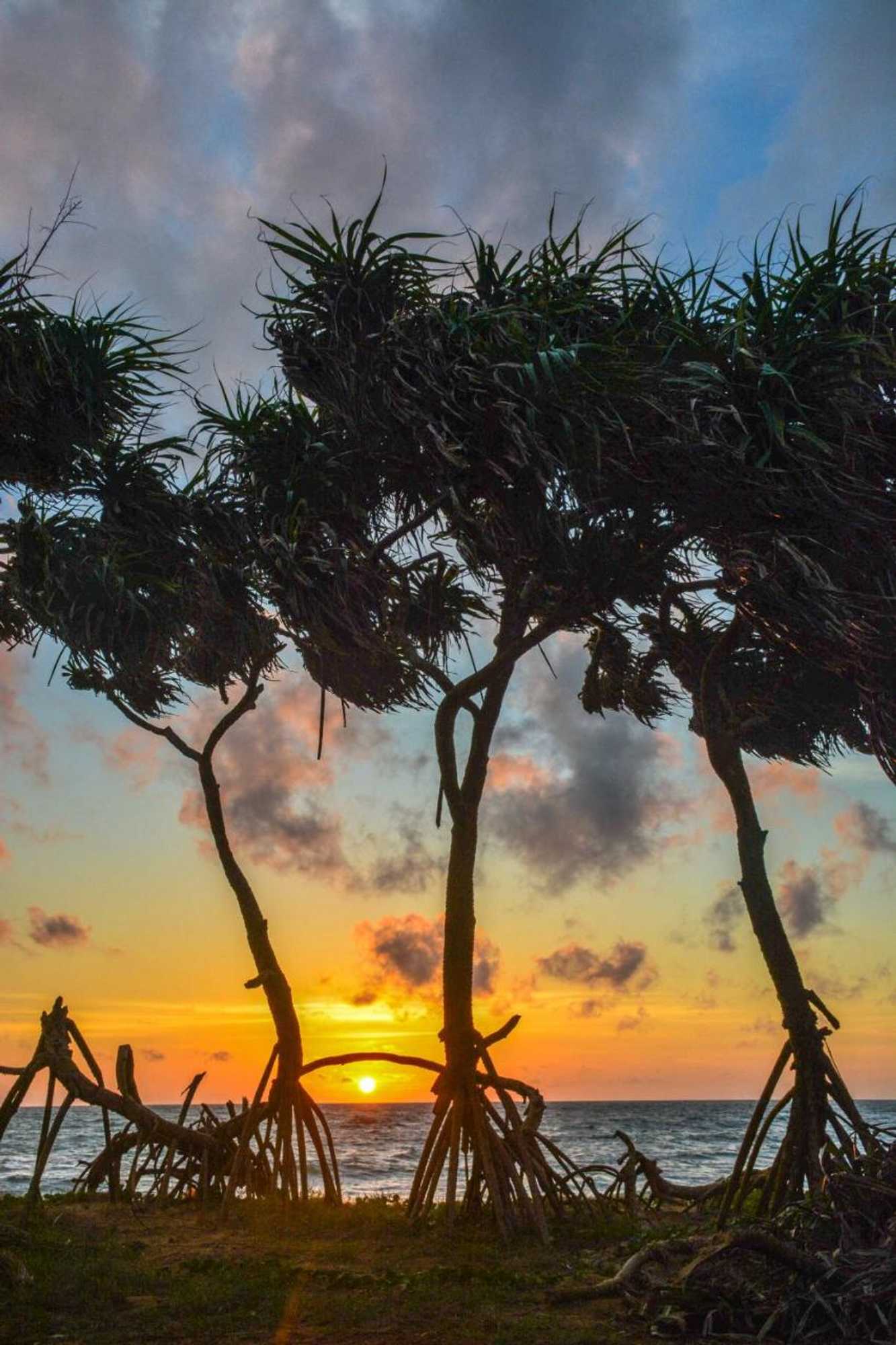 Gift card for Twin Waters Resort