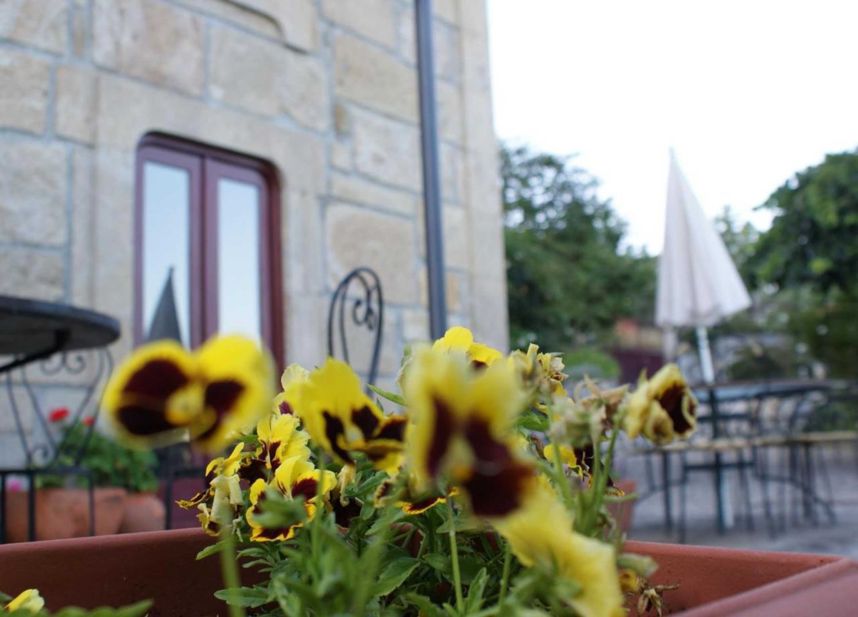 Gift card for Quinta de Canhões