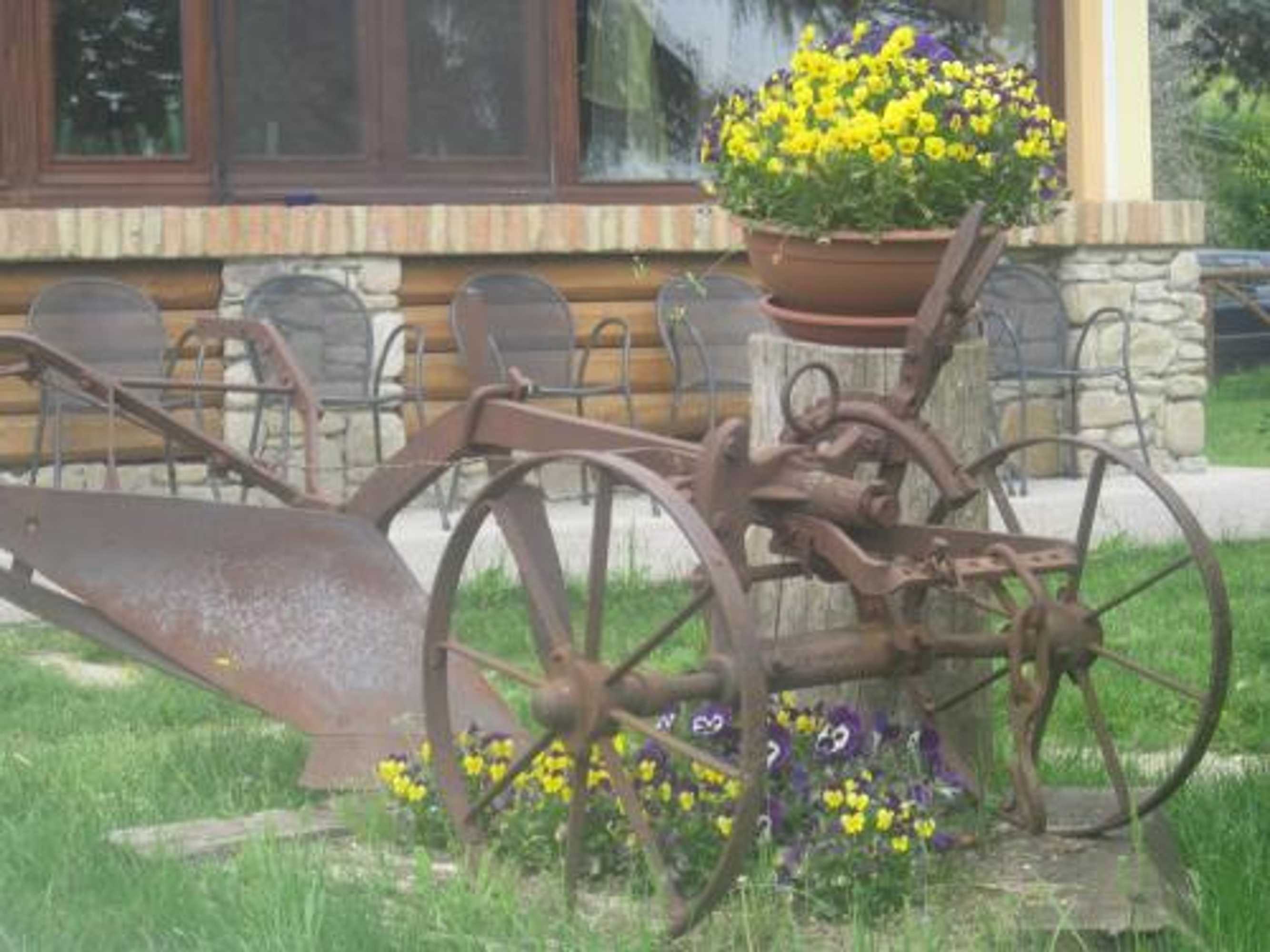 Gift card for Agriturismo le Spighe - Fattoria Bertaccini Gift card for Agriturismo le Spighe - Fattoria Bertaccini