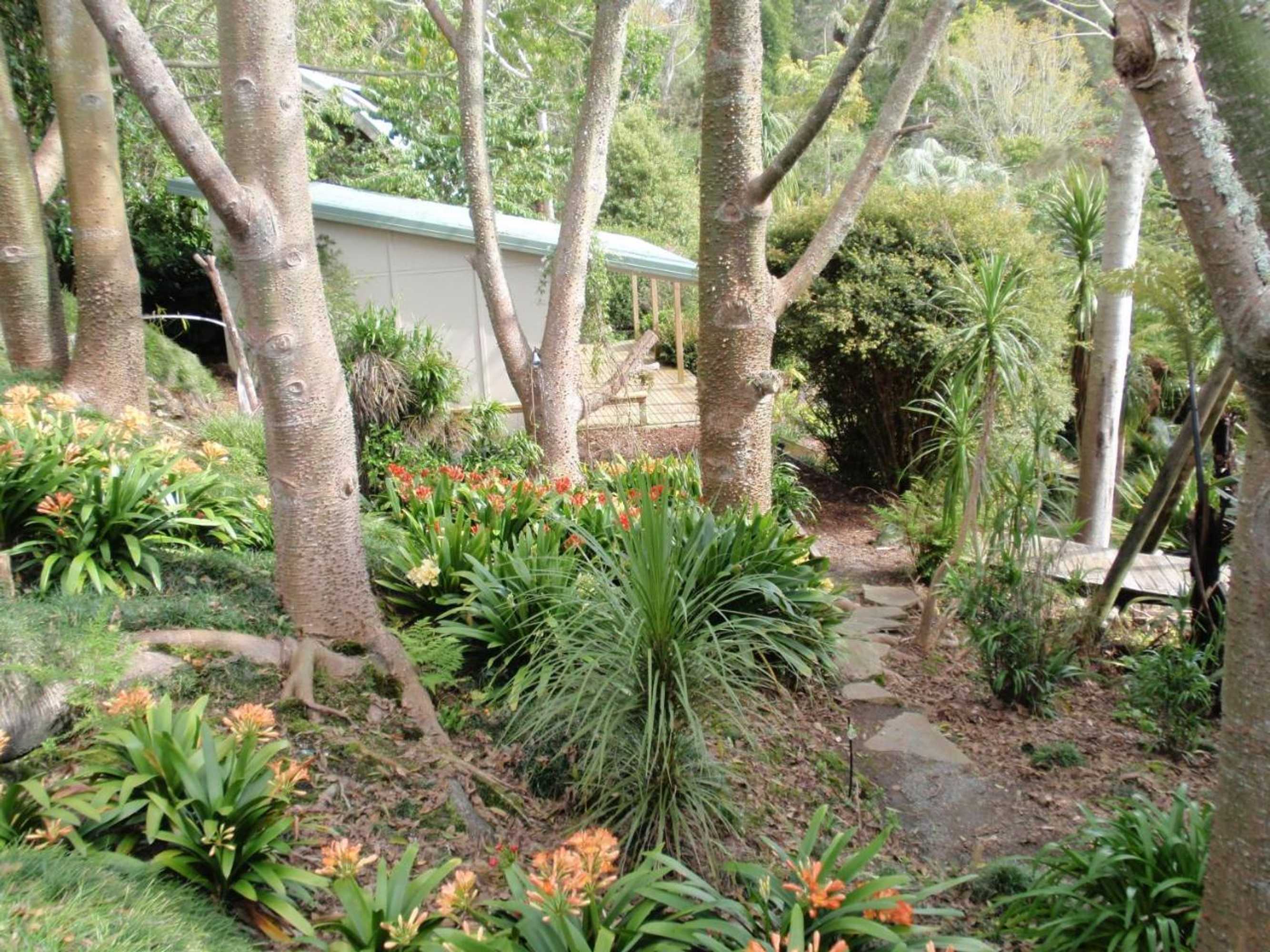 Gift card for Wharepuke Subtropical Accommodation Gift card for Wharepuke Subtropical Accommodation