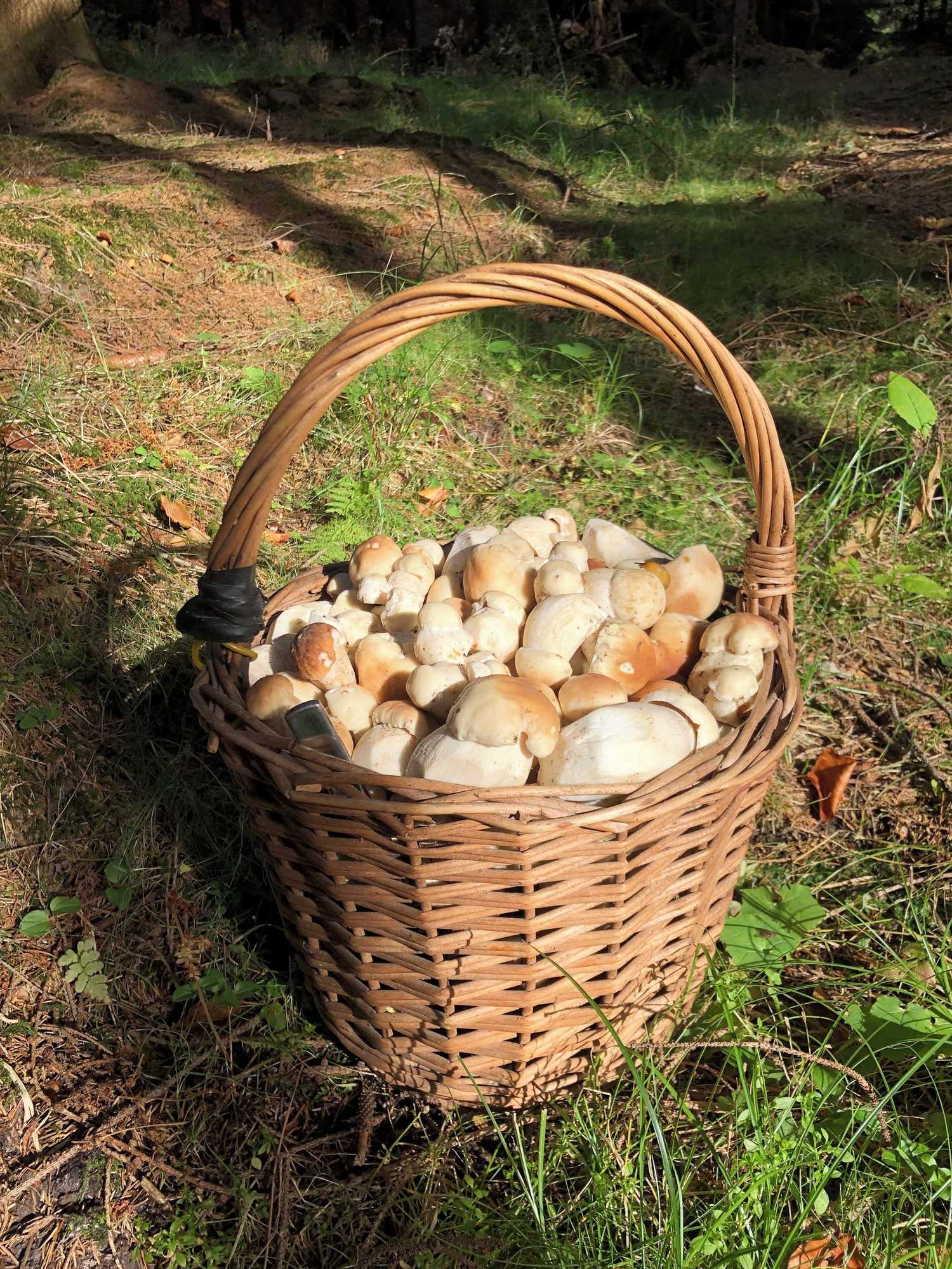 Gift card for Pension Laura