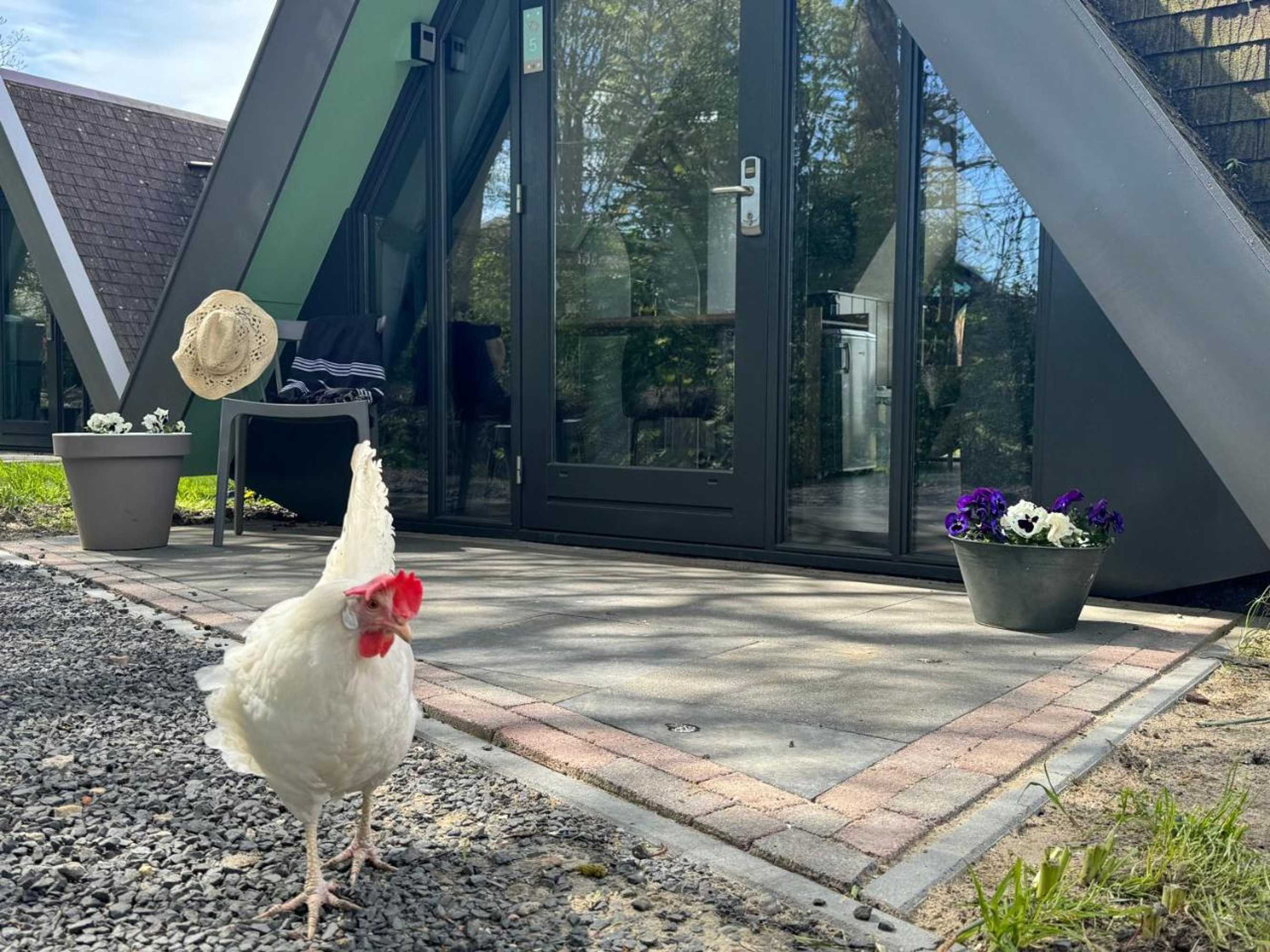 Gift card for Hotelhuisjes Medemblik