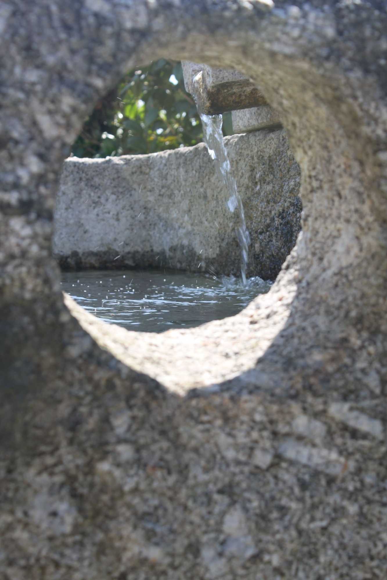 Gift card for Propriedade do Pires