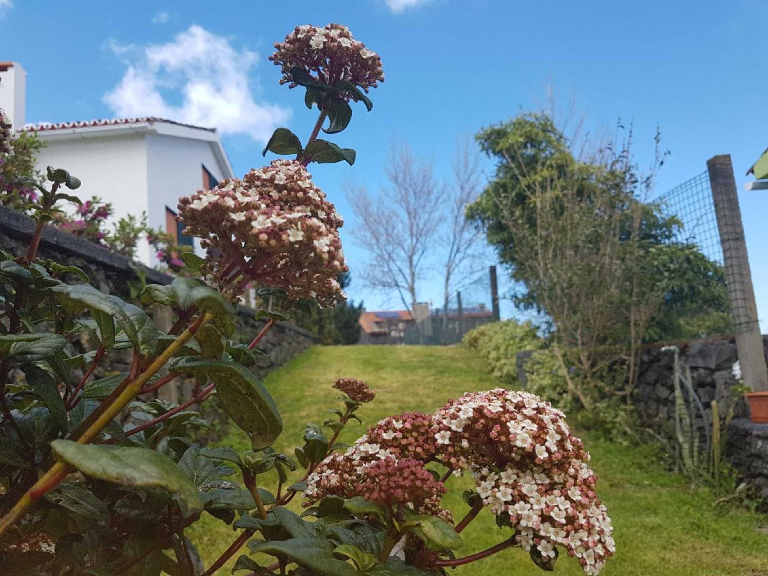 Gift card for Stonewood Lodge AL