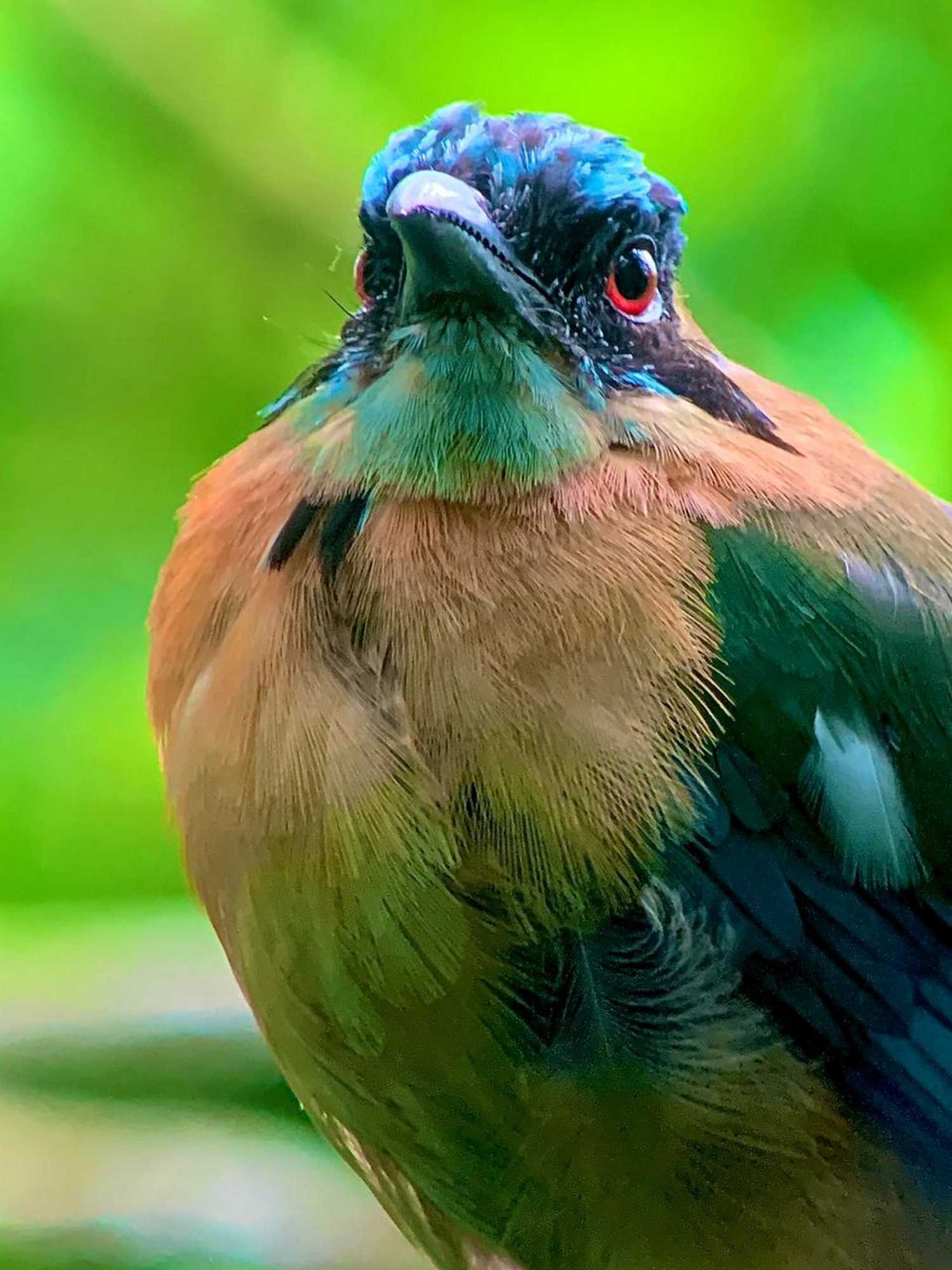 Gift card for Fondavela Hotel