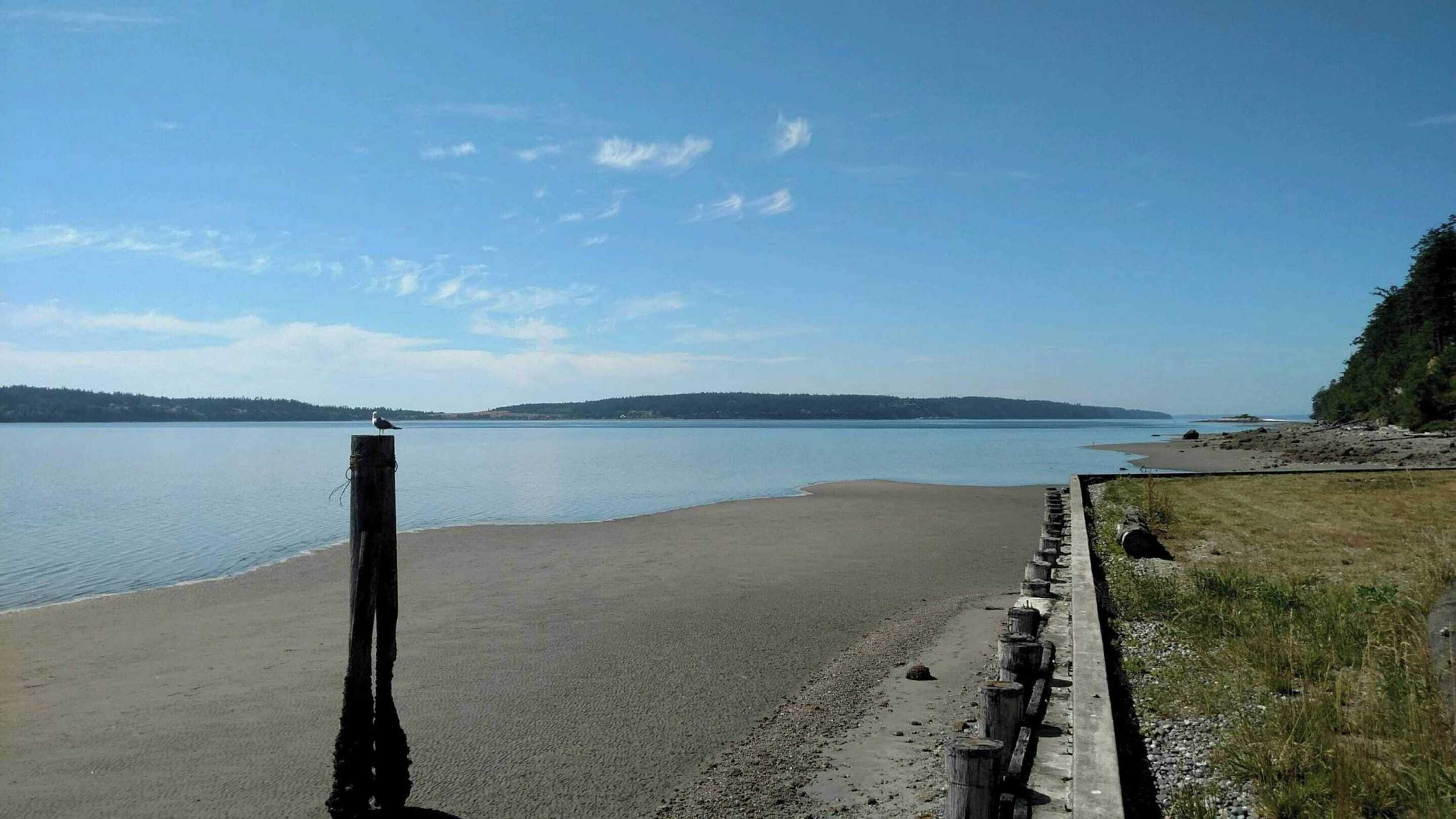 Gift card for Harbor View Haven by Avantstay Private Backyard