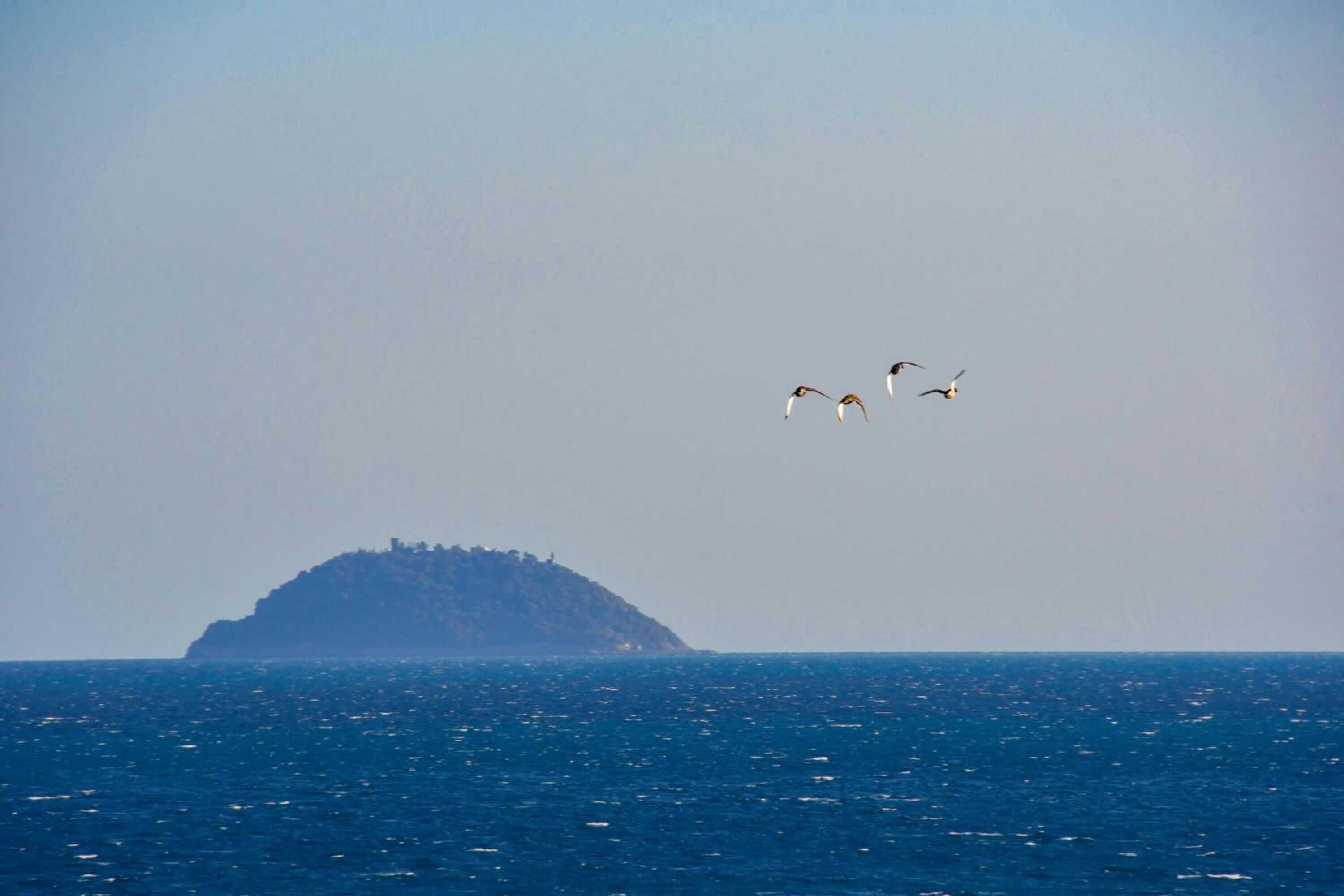 Gift card for Vela  D'oro