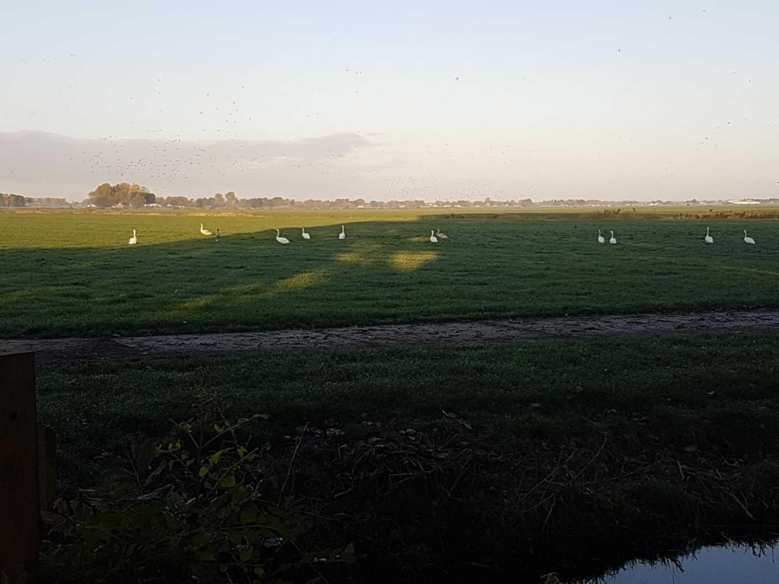 Gift card for Bed & Breakfast De Koegang