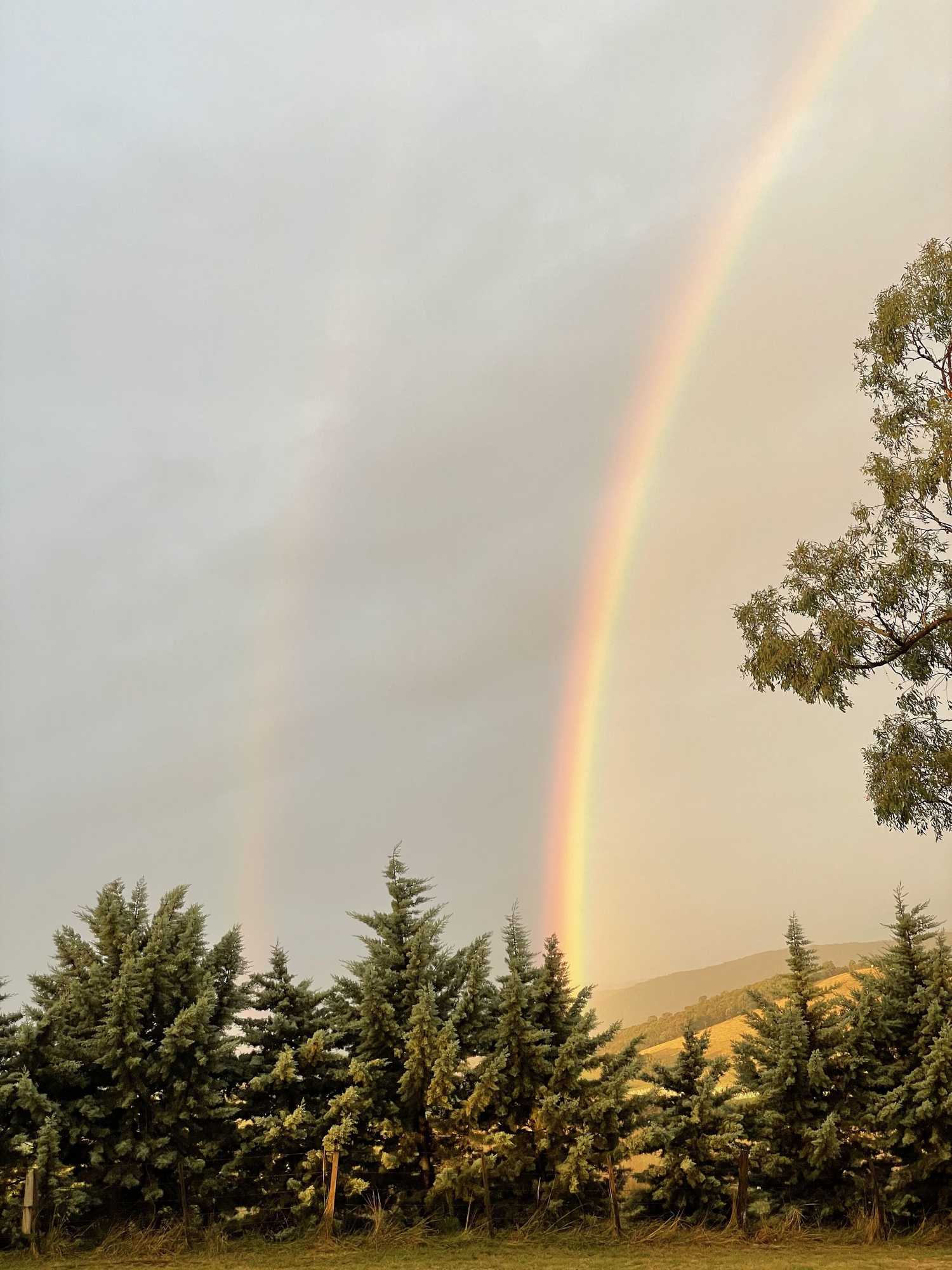 Gift card for The Studio Yarra Valley