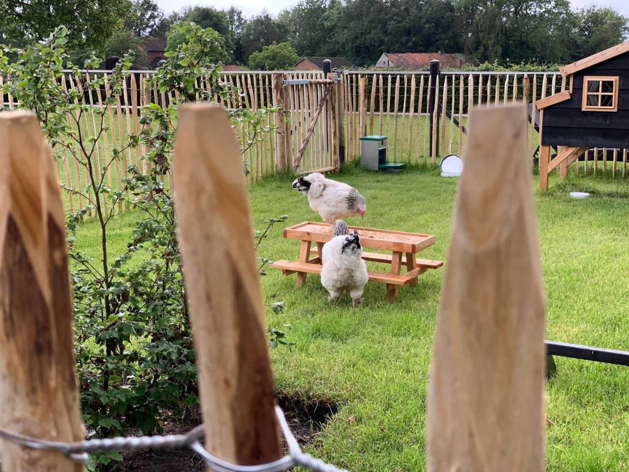 Gift card for Bed & Breakfast Heitse