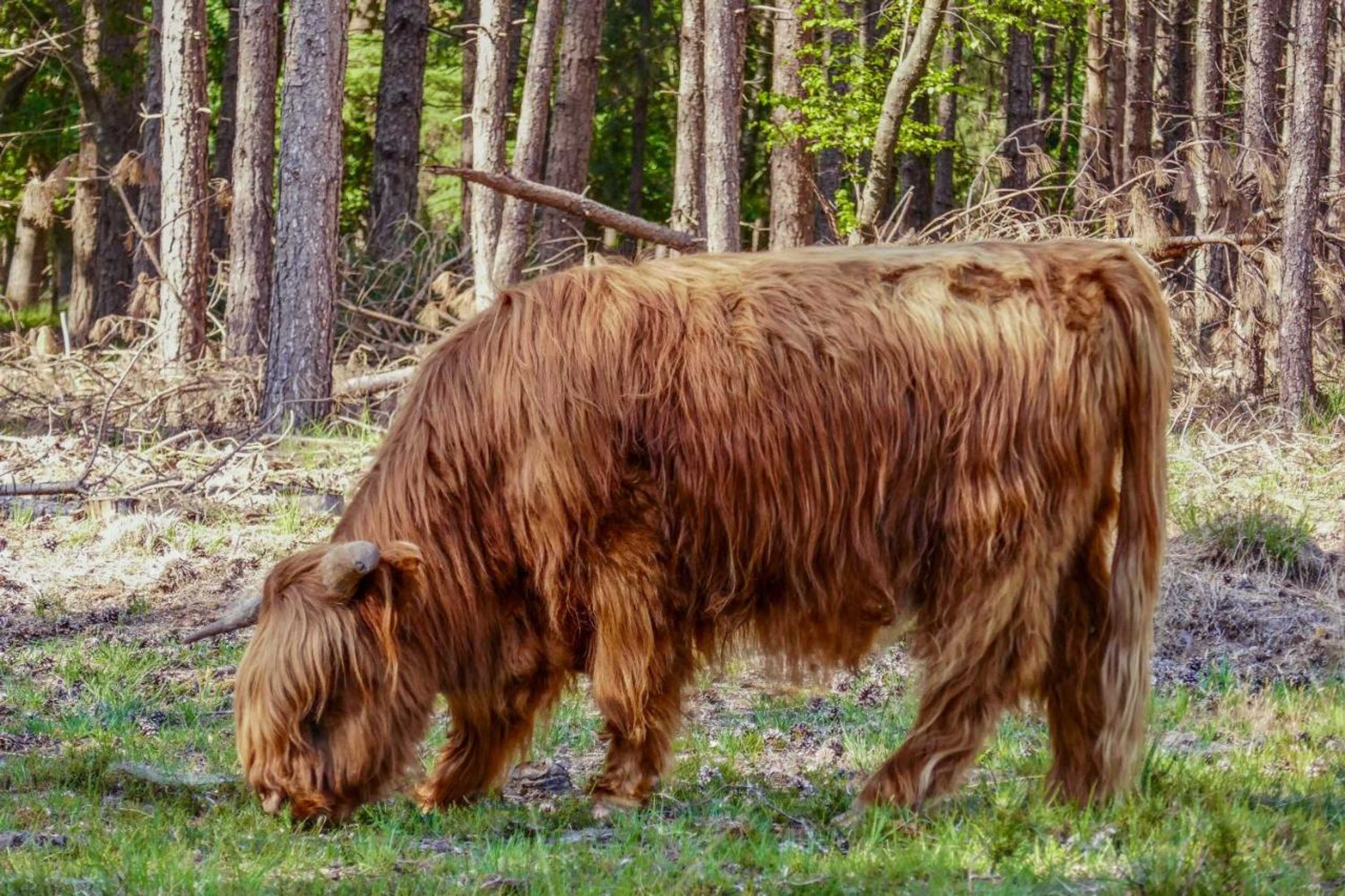 Gift card for Op Dn Kreijtenberg