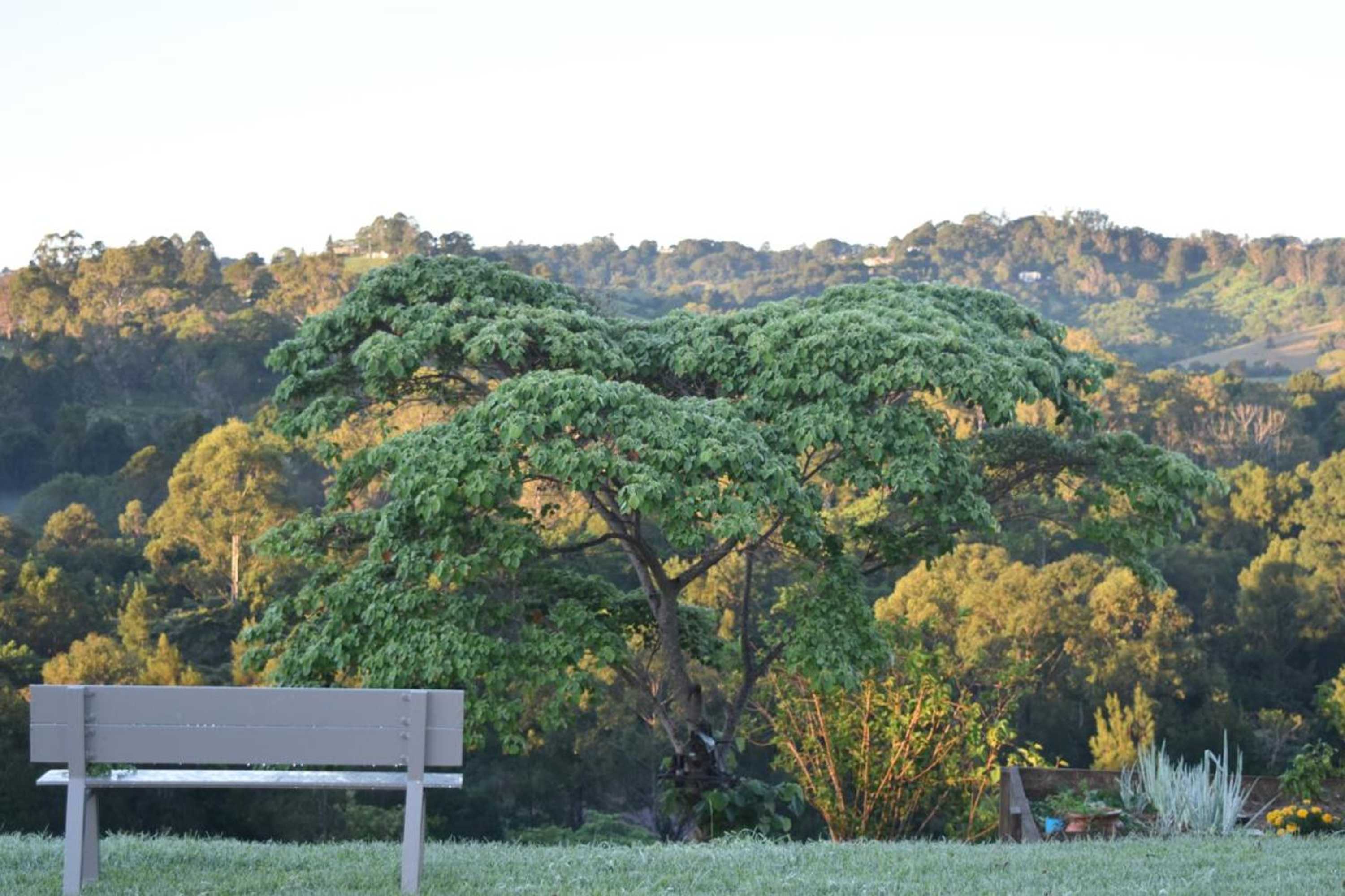 Gift card for Mapleton Springs