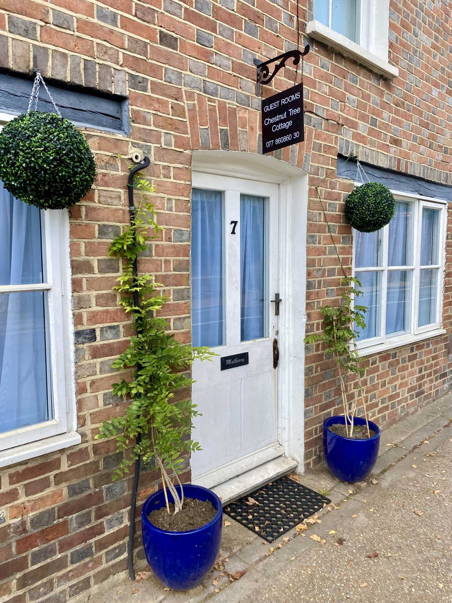 Gift card for Chestnut Tree