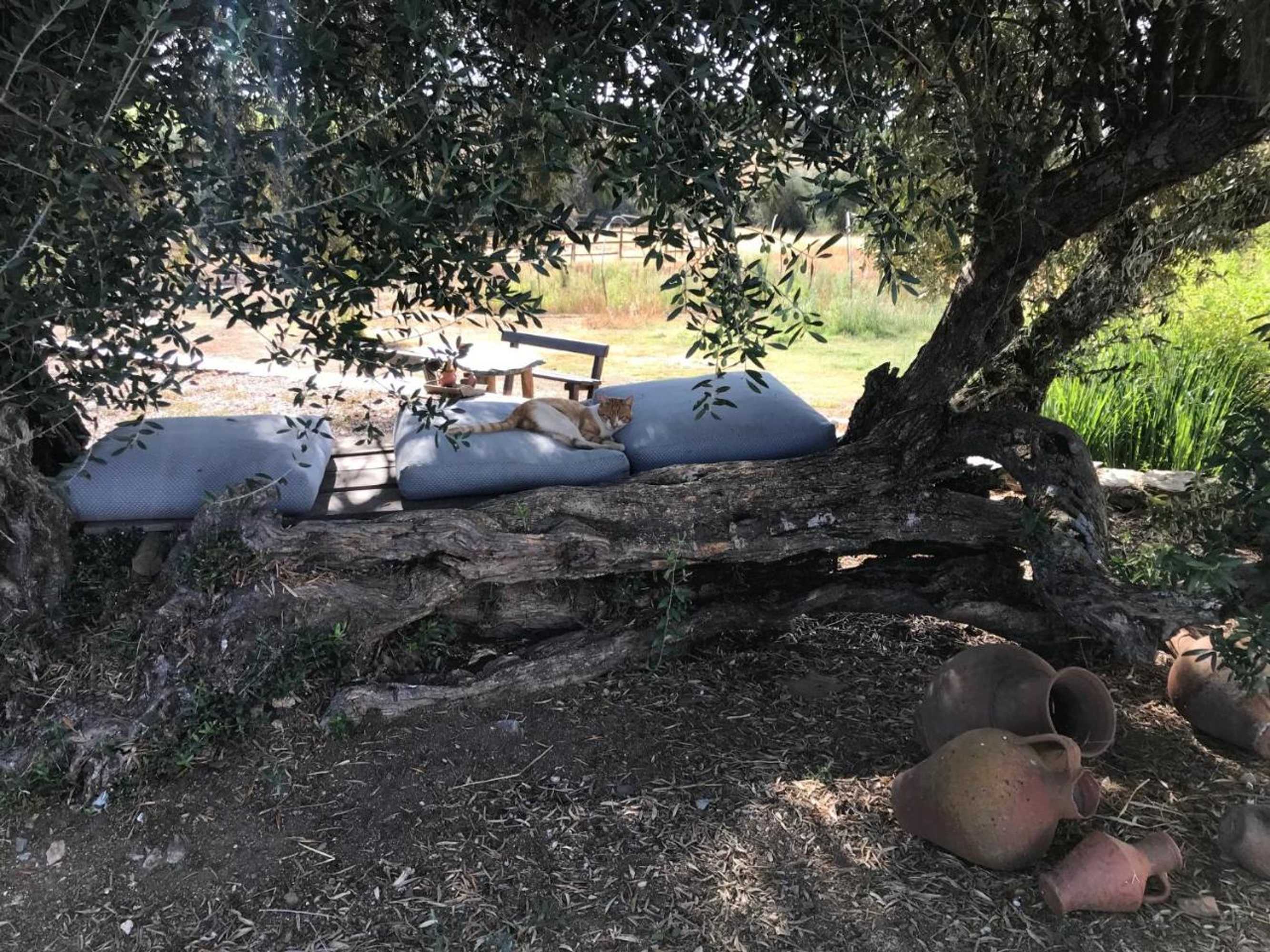 Gift card for Monte Dos Vicentes