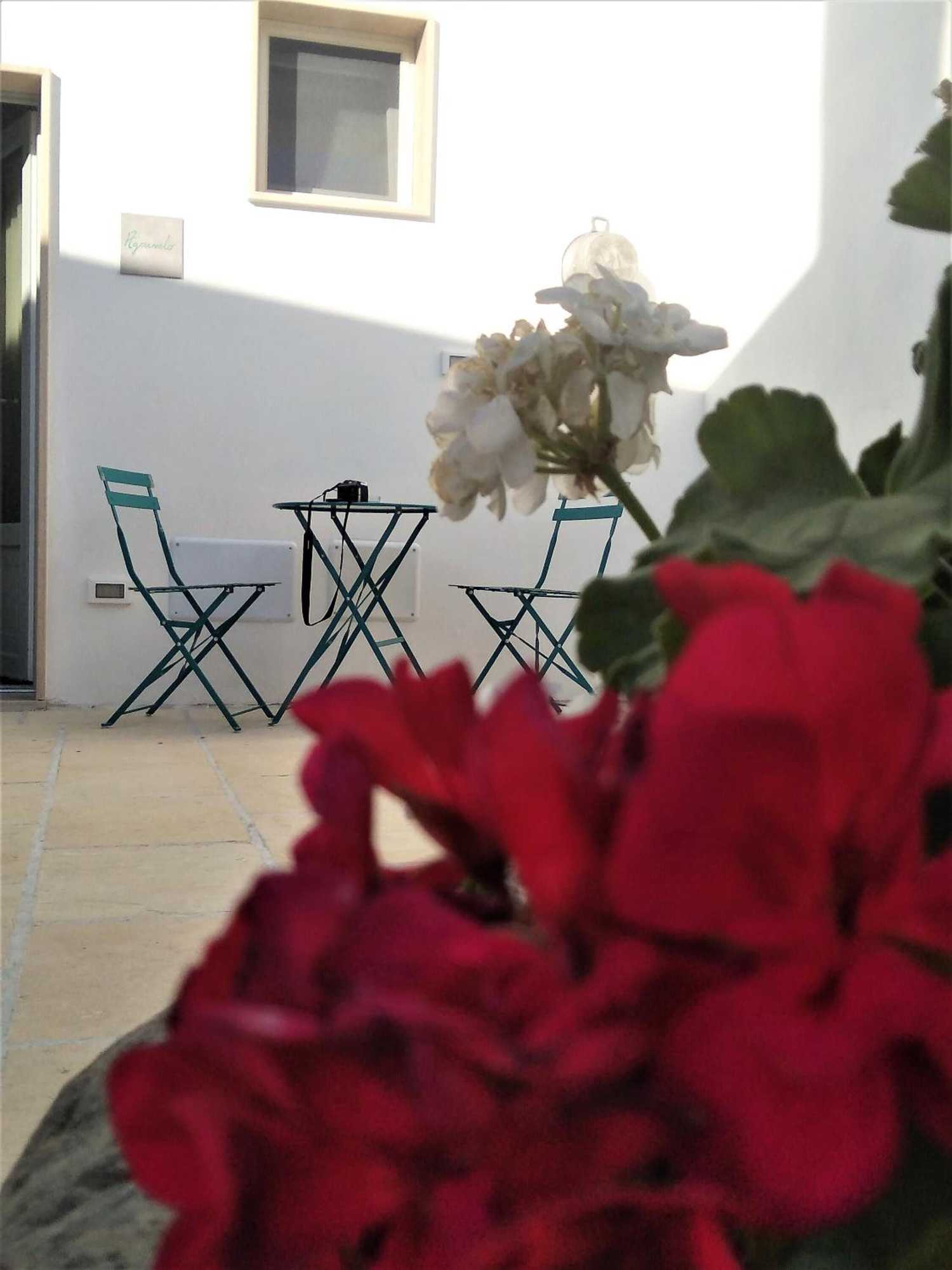Gift card for Li Perrini Boutique B&b Gift card for Li Perrini Boutique B&b