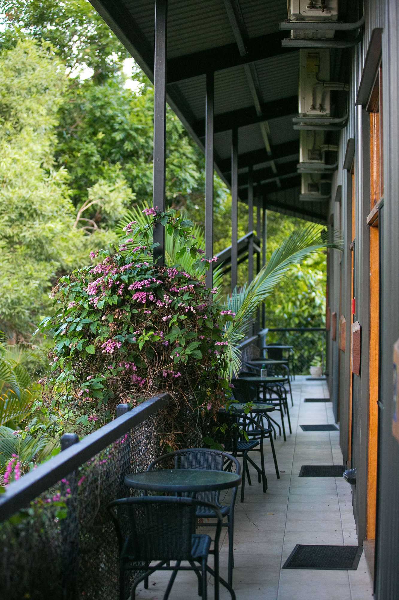 Gift card for Daintree Wild Zoo & B&b Gift card for Daintree Wild Zoo & B&b
