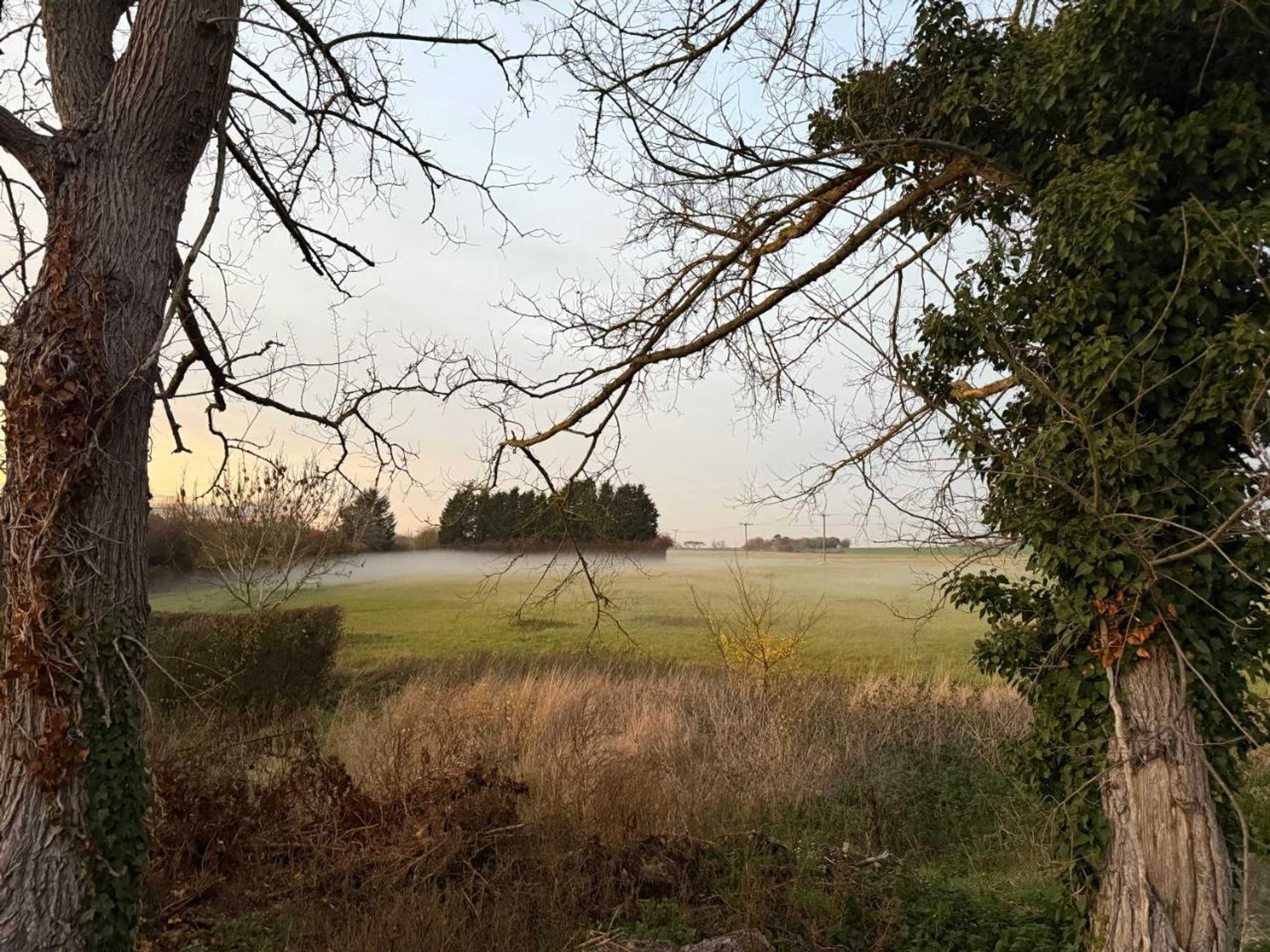 Gift card for Dog And Castle