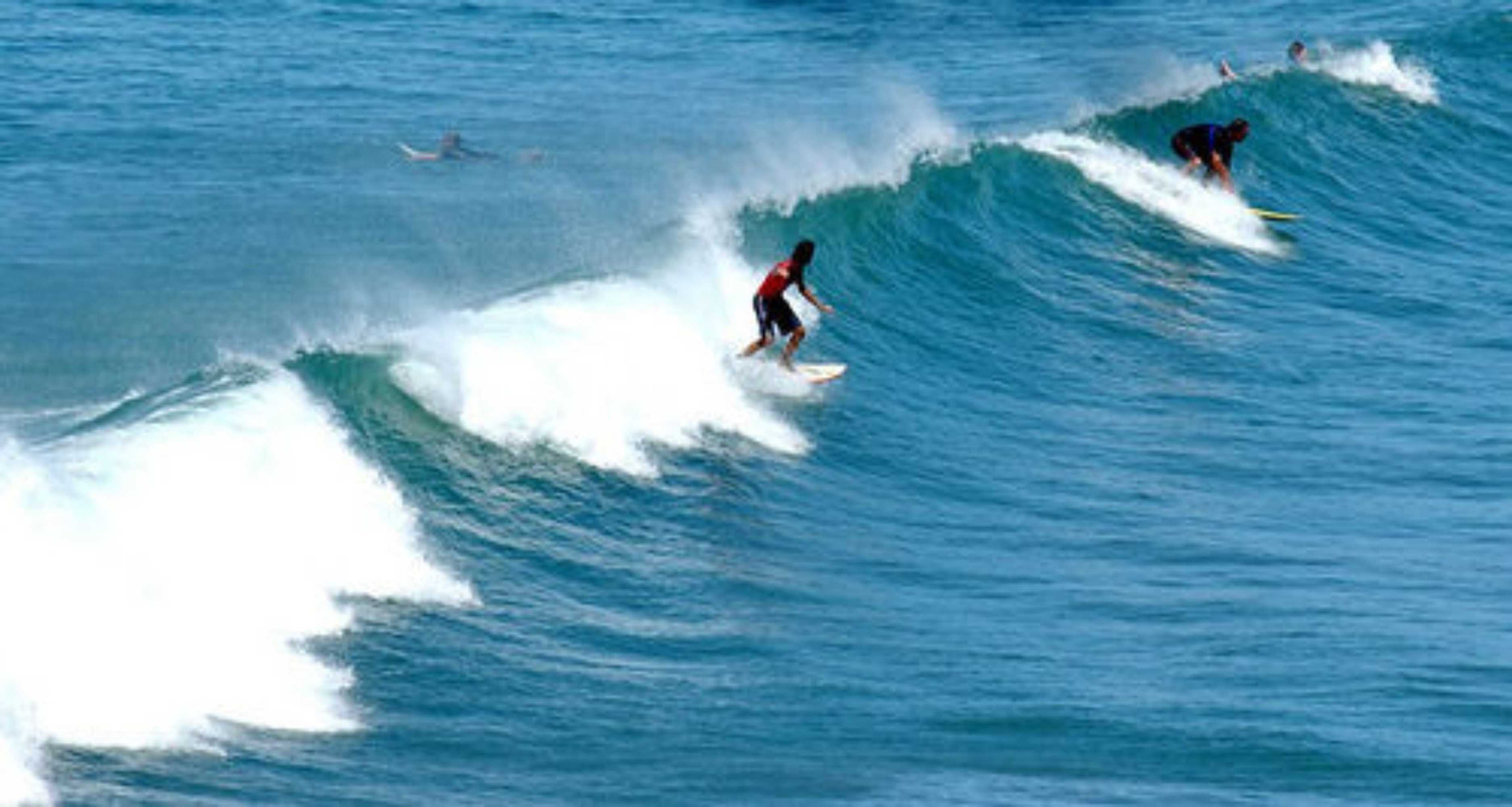 Gift card for Blue Wave Motel Mount Maunganui Gift card for Blue Wave Motel Mount Maunganui