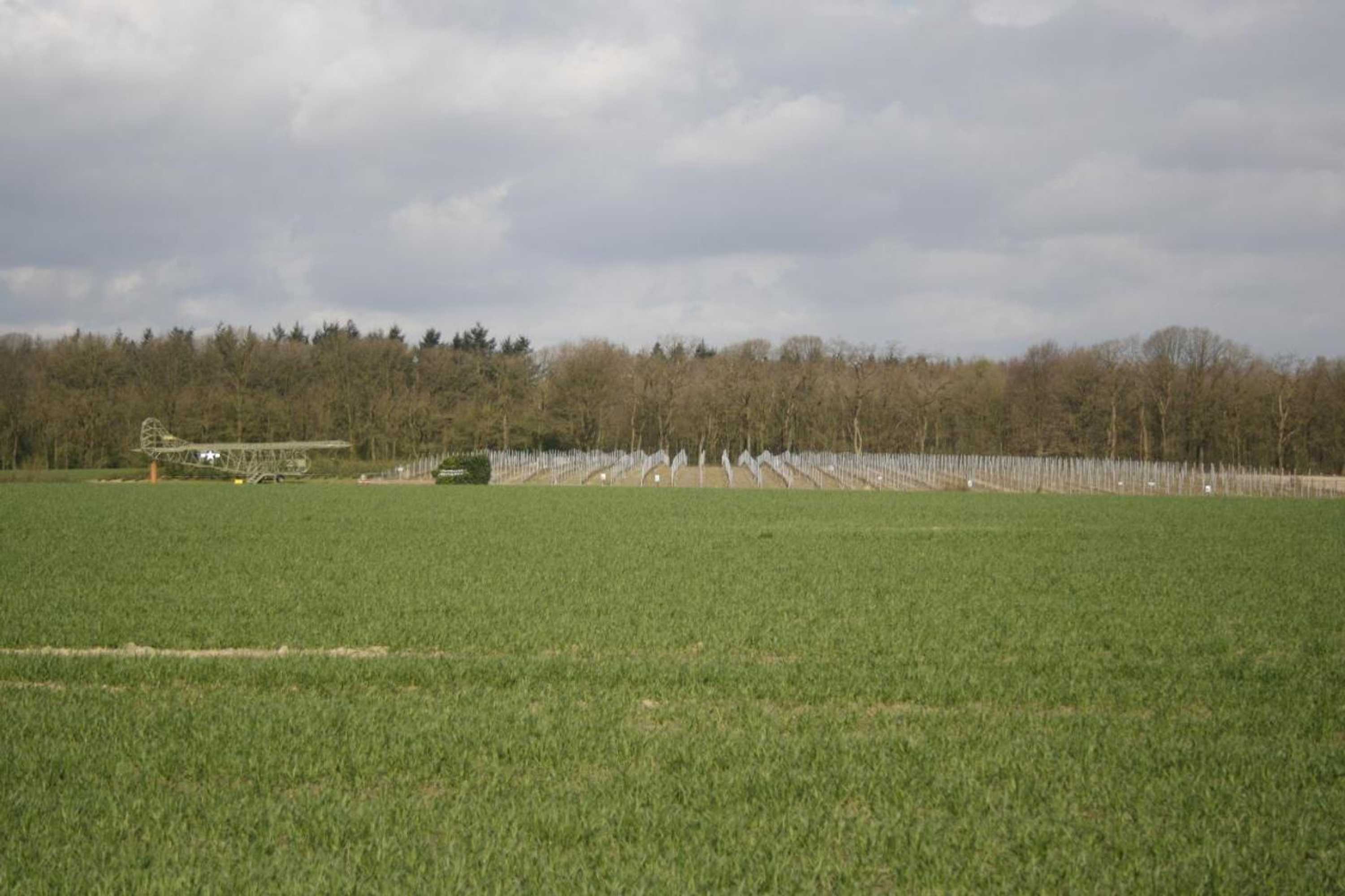 Gift card for Klein-Amerika