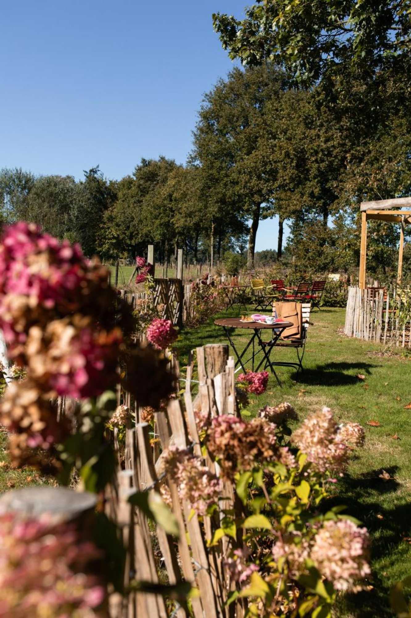 Gift card for Hotel Restaurant 