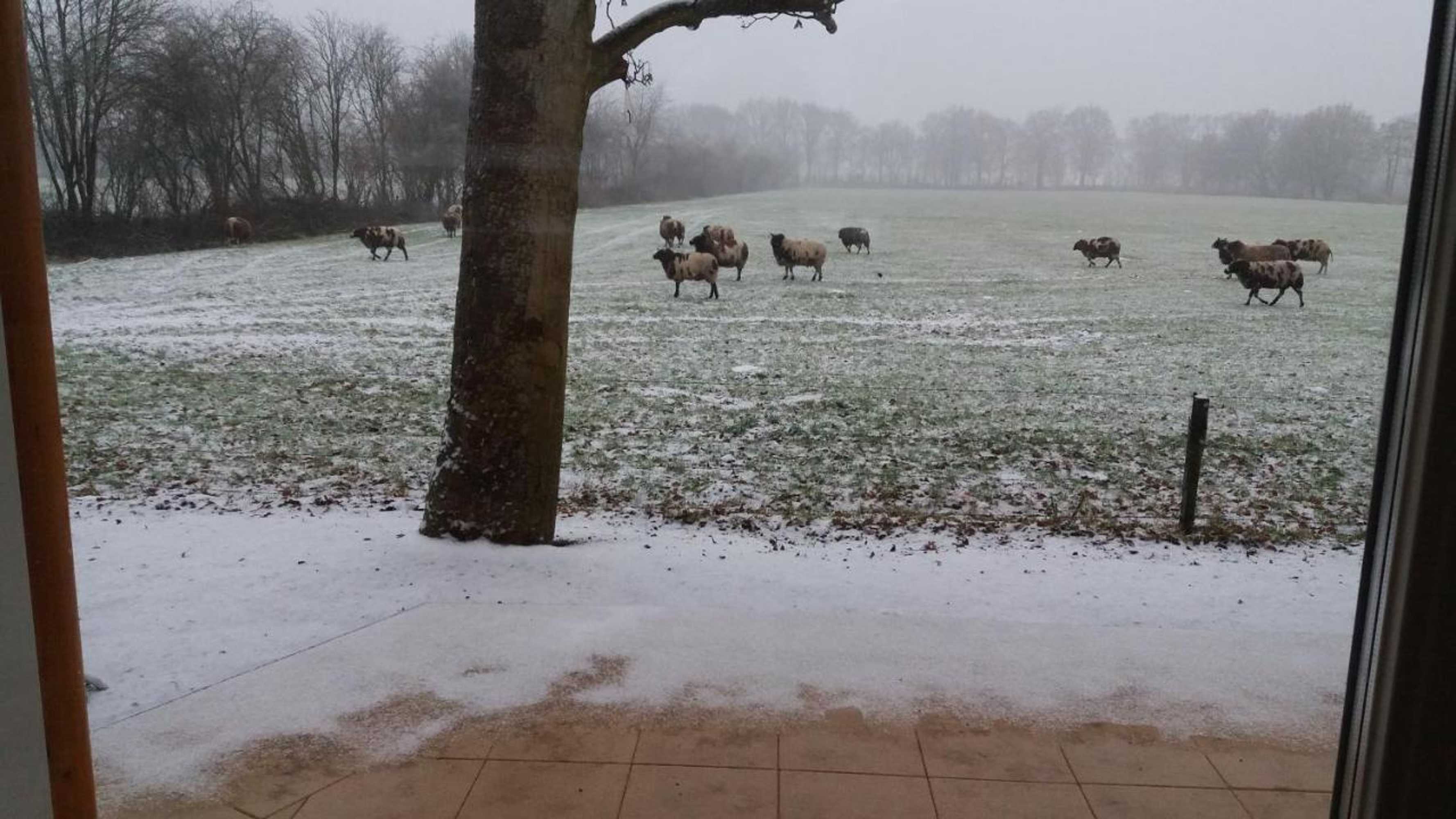 Gift card for Het Findament Tiny House