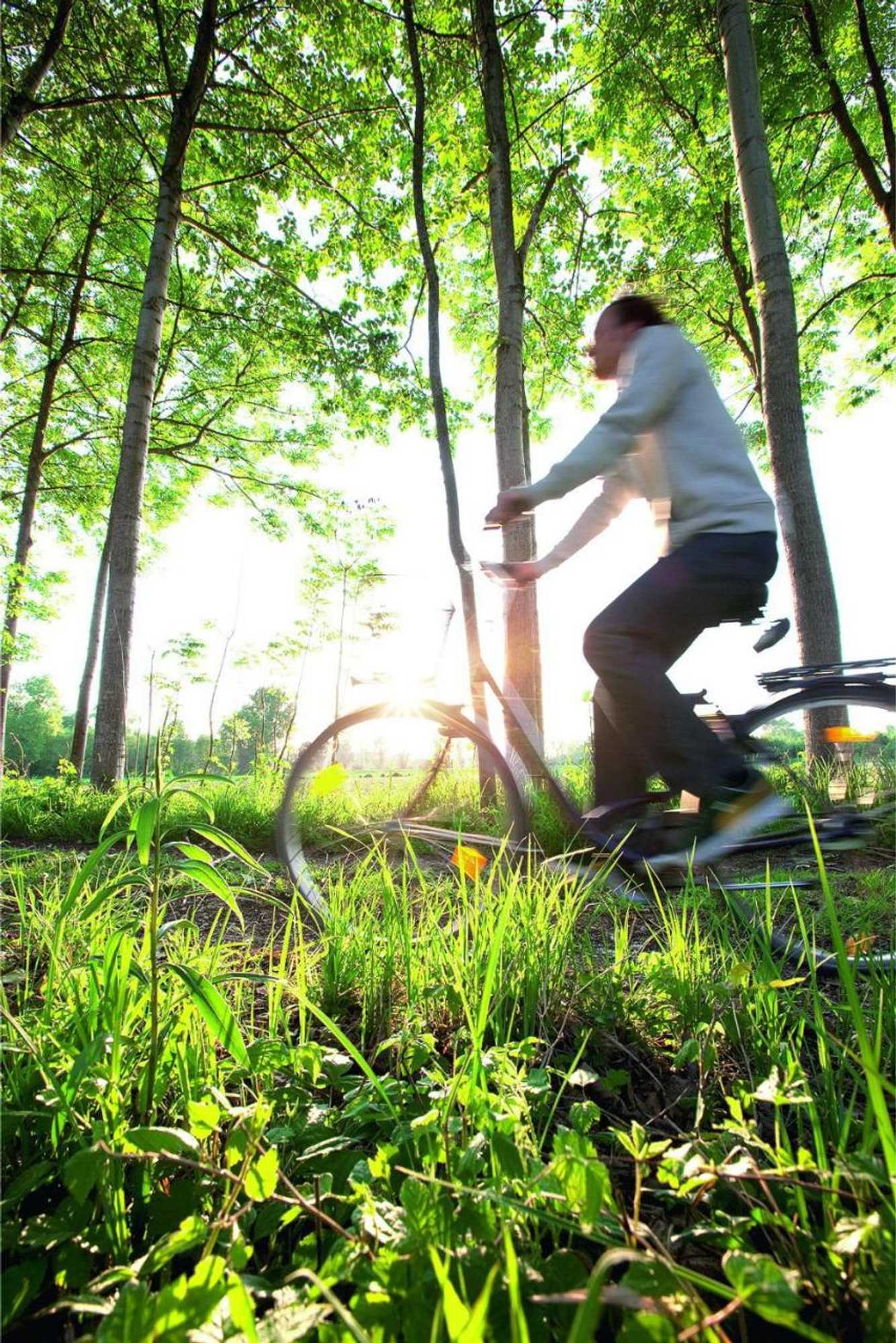 Gift card for Appartementhotel Cura Bad Füssing