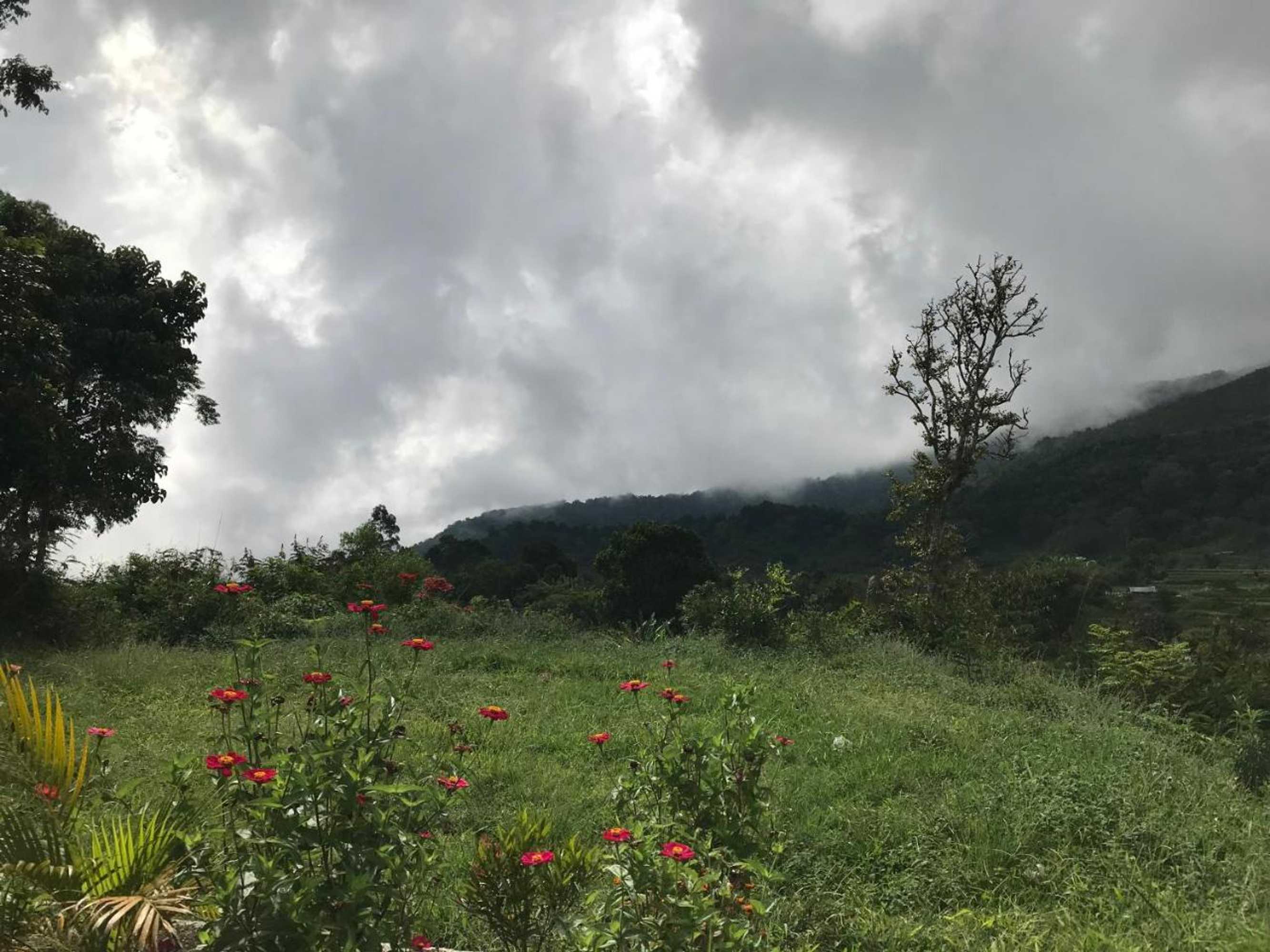 Gift card for Rinjani Inn