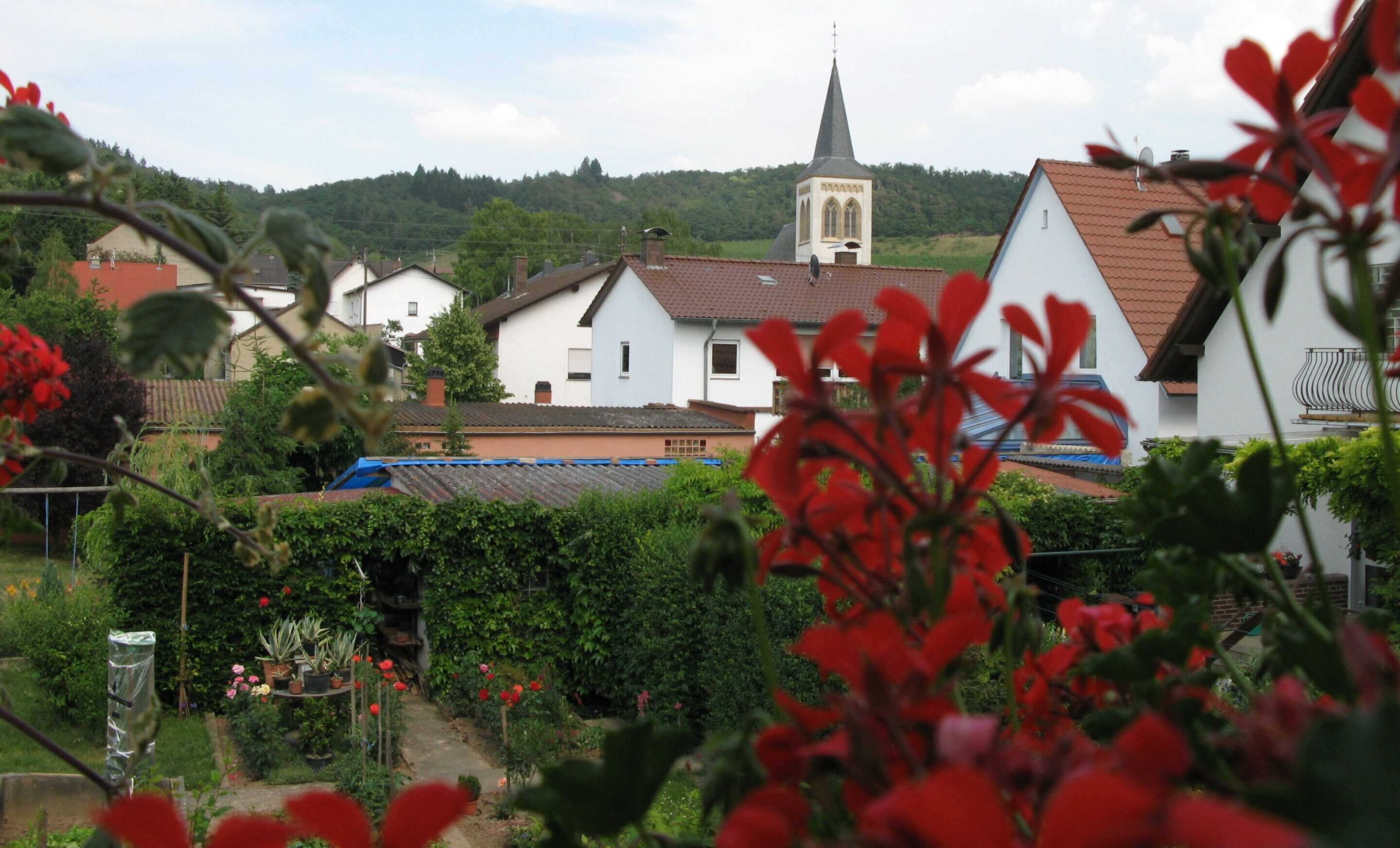 Gift card for Zur Rotenfelsstube
