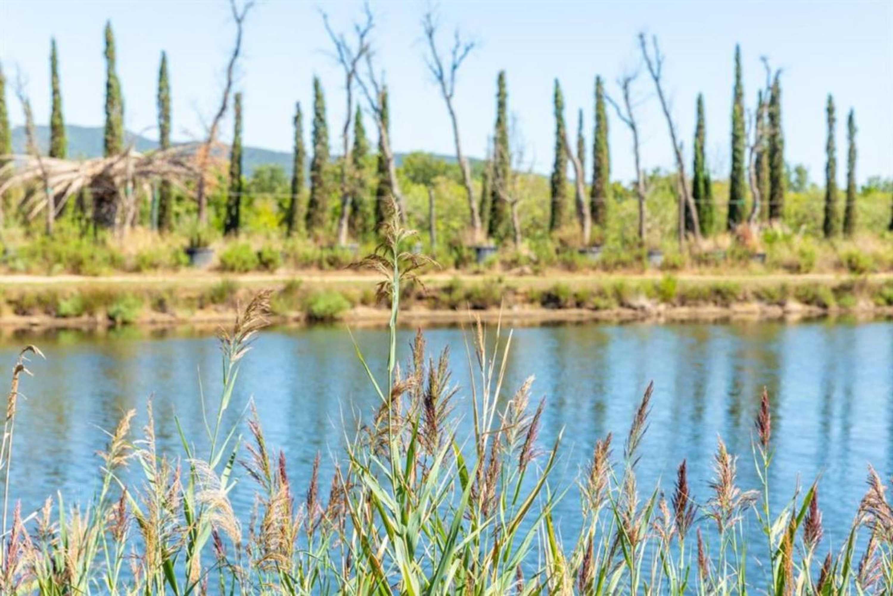 Gift card for Casa Ficulle