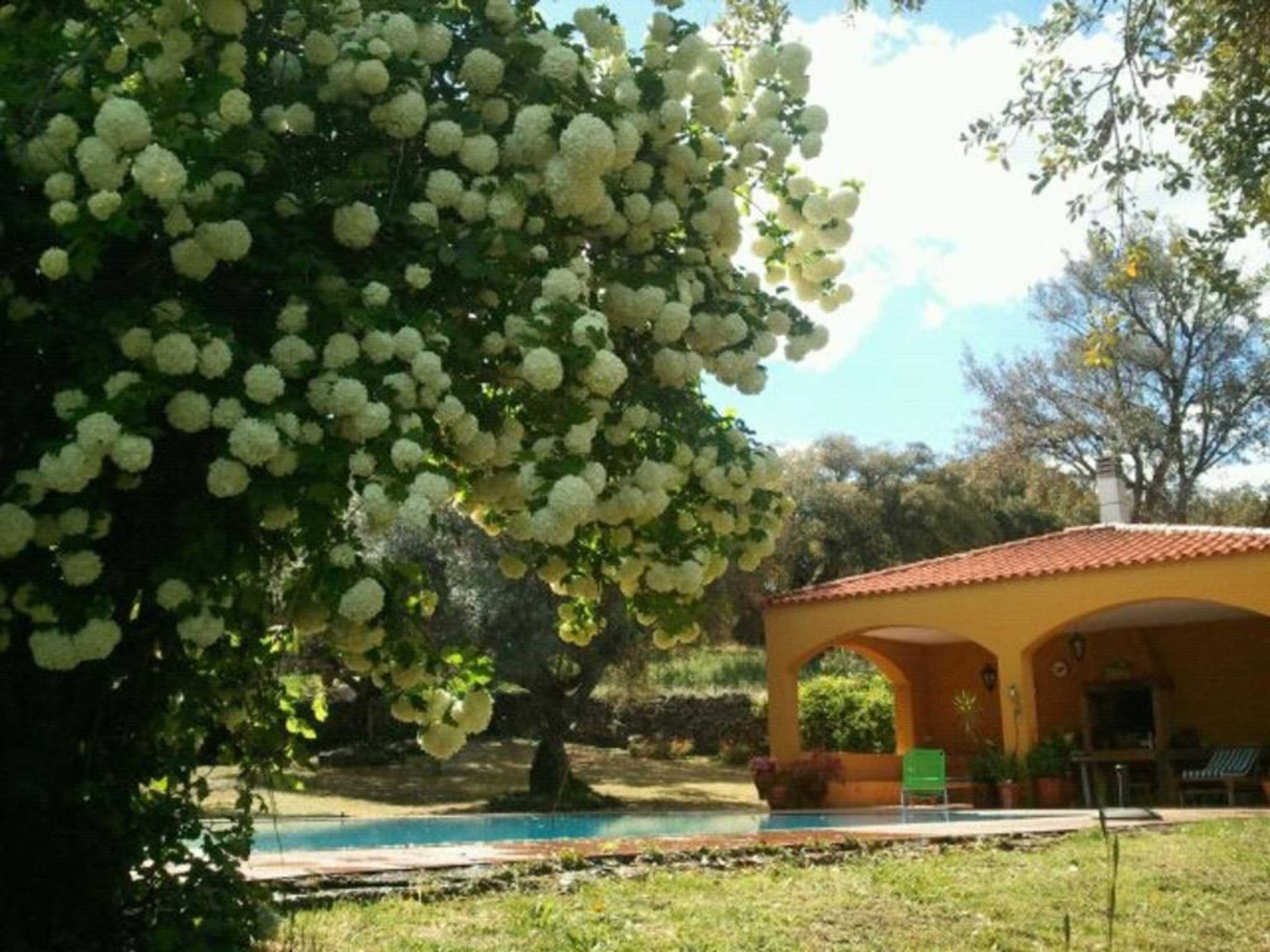 Gift card for La Macera