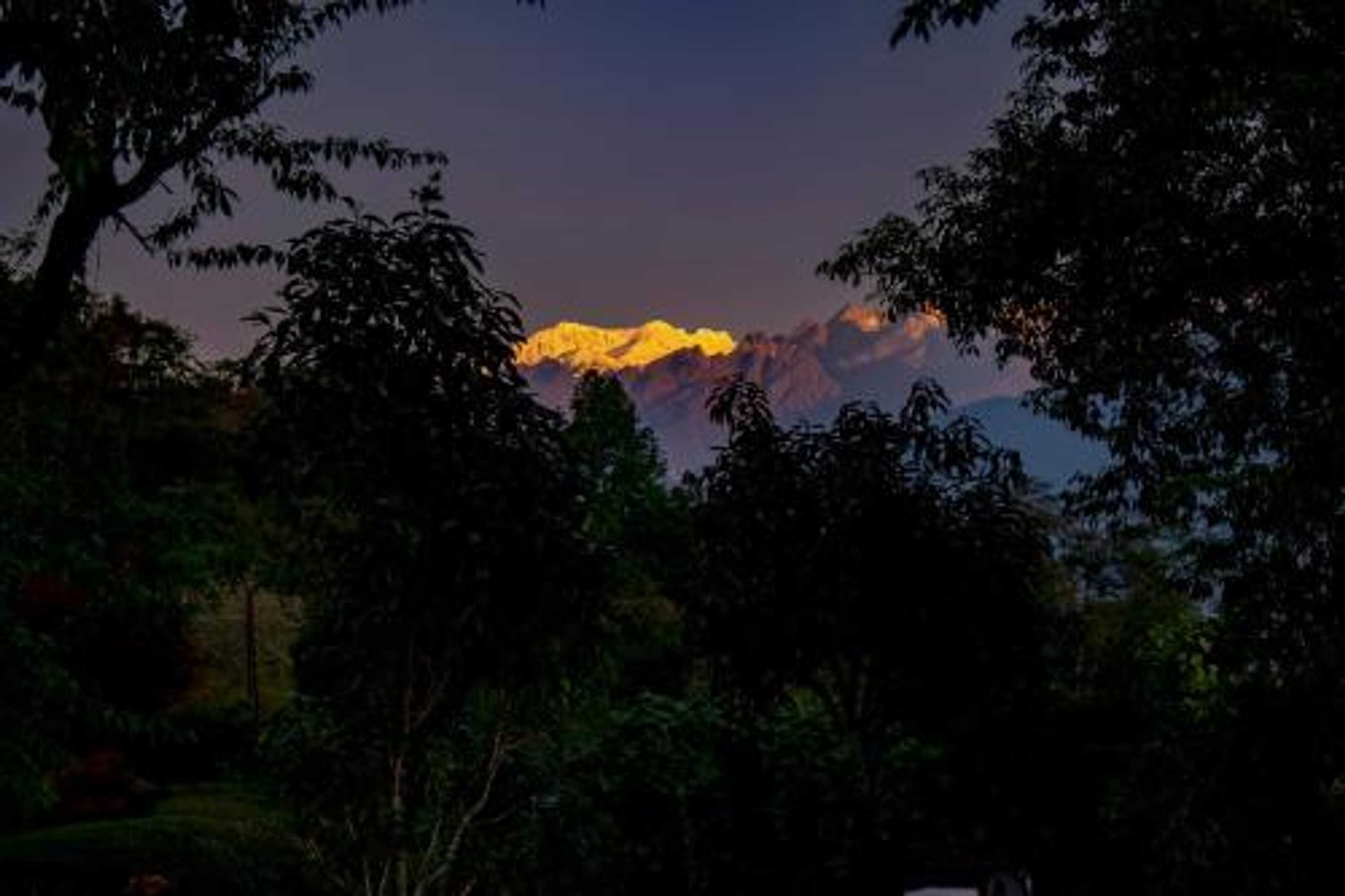 Gift card for Eco Adventure Resorts Temi Bungalow South Sikkim Gift card for Eco Adventure Resorts Temi Bungalow South Sikkim
