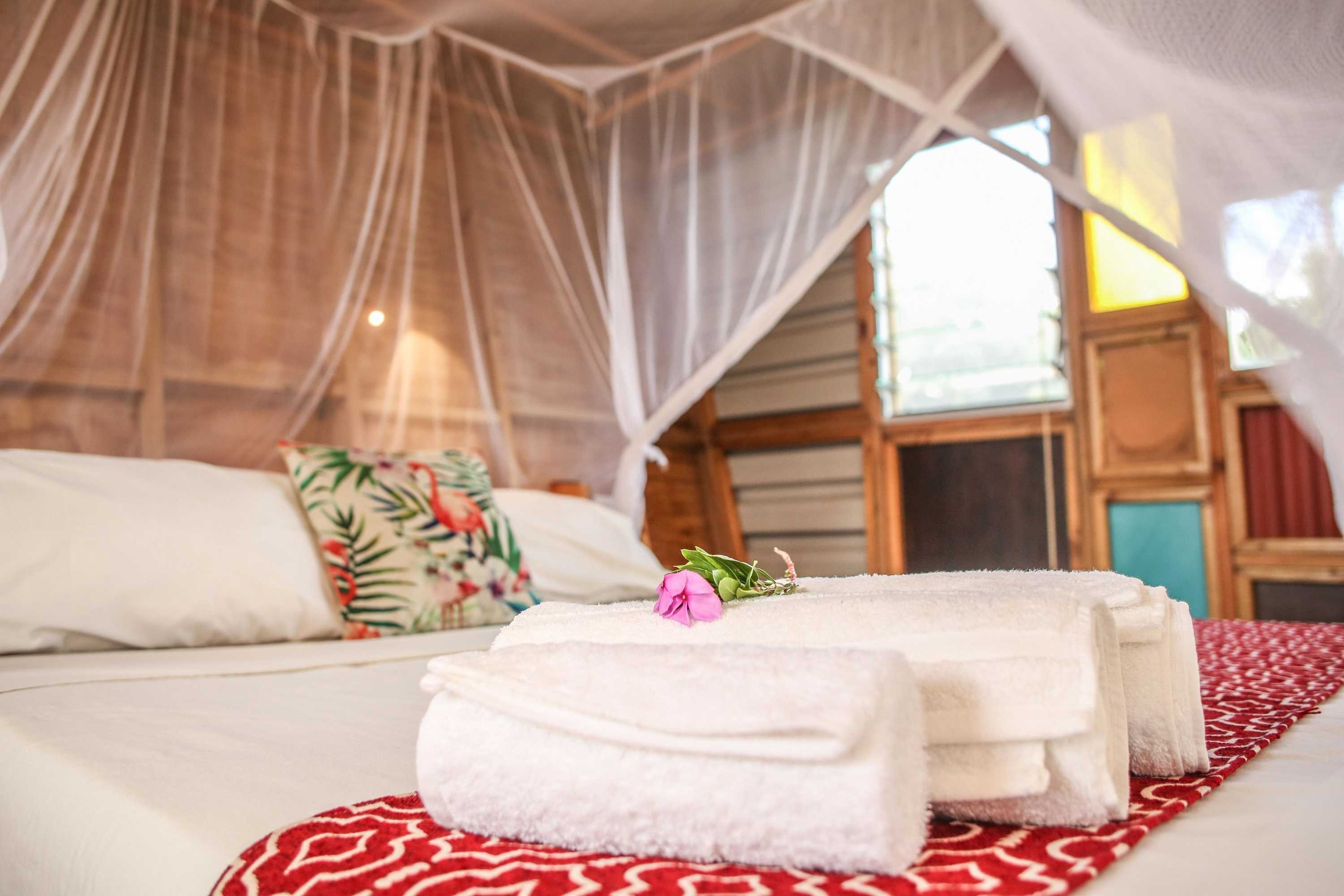 Gift card for Mozambeat Motel - Hostel Gift card for Mozambeat Motel - Hostel