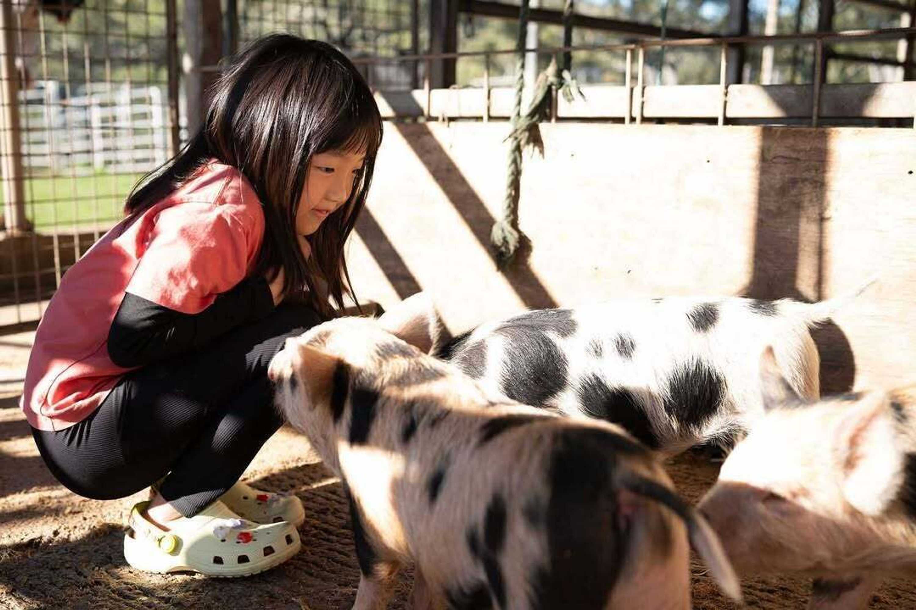 Gift card for Bestbrook Mountain Resort