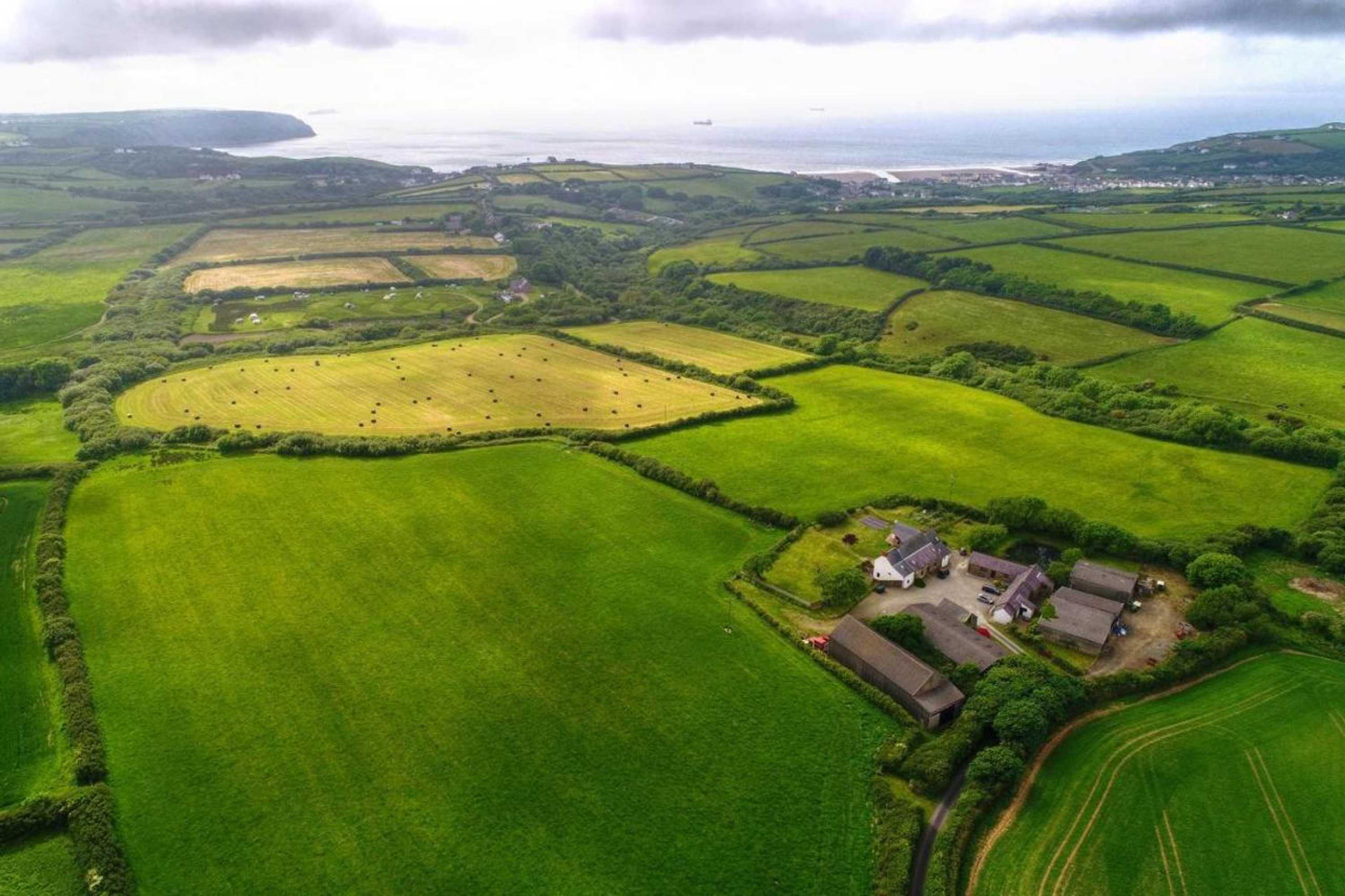 Gift card for Shippon