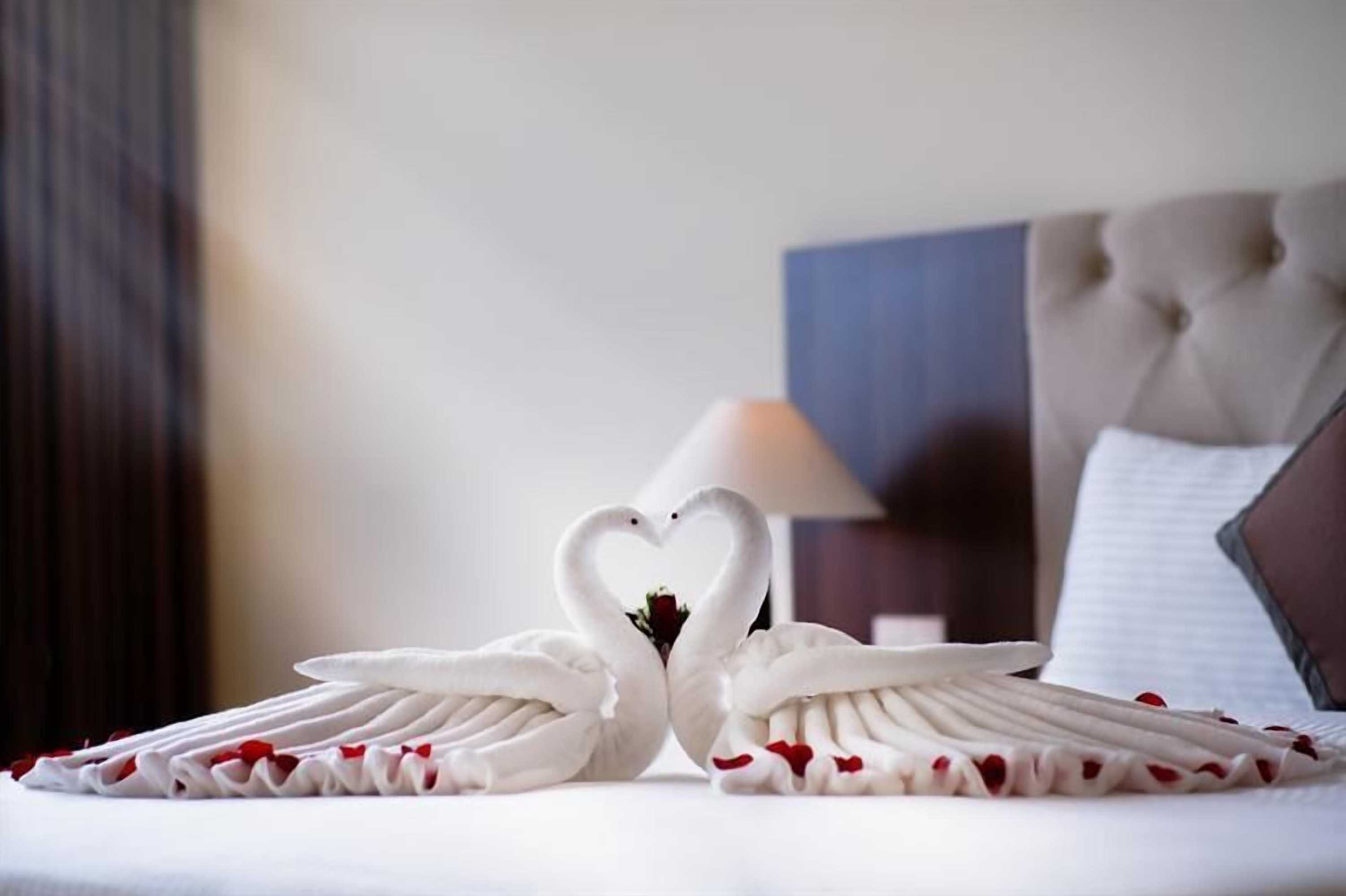 Gift card for Muong Thanh Grand Tuyen Quang Hotel Gift card for Muong Thanh Grand Tuyen Quang Hotel