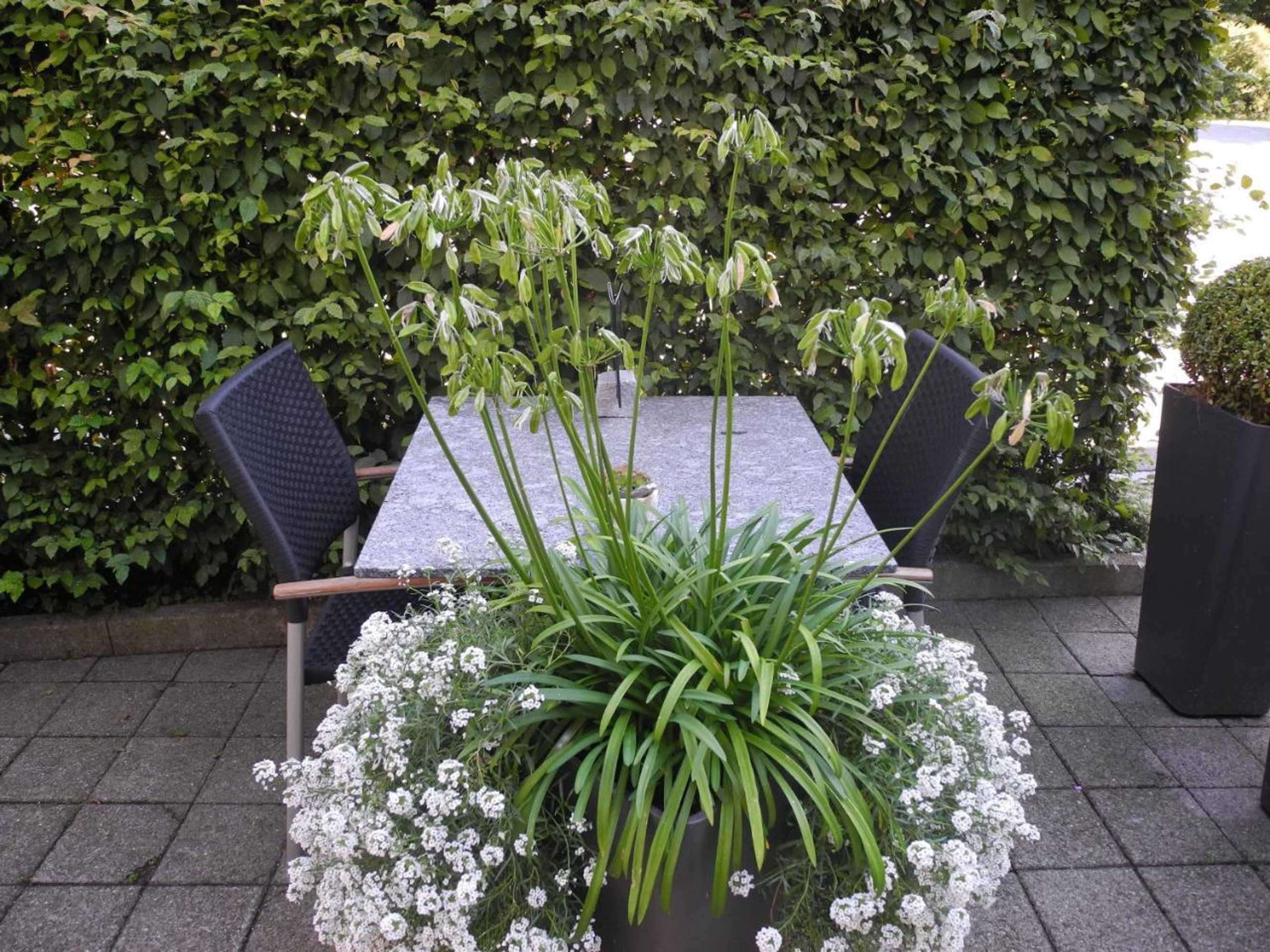 Gift card for Landgasthaus Bären