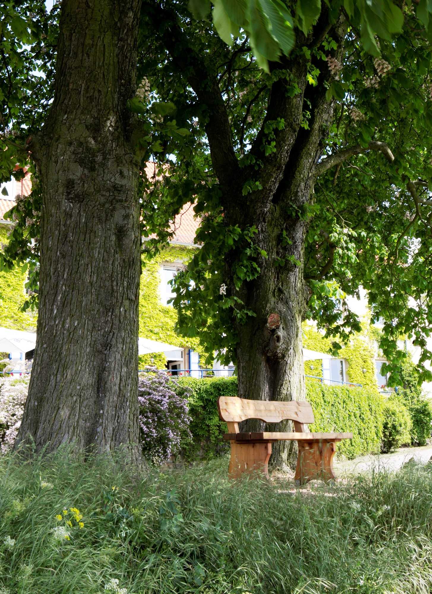 Gift card for Hofgut Wißberg - Das Weinberghotel Gift card for Hofgut Wißberg - Das Weinberghotel