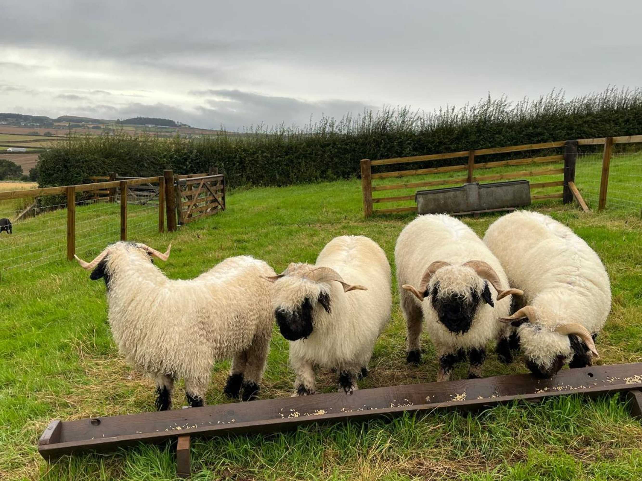 Gift card for Garden Bank Cottage