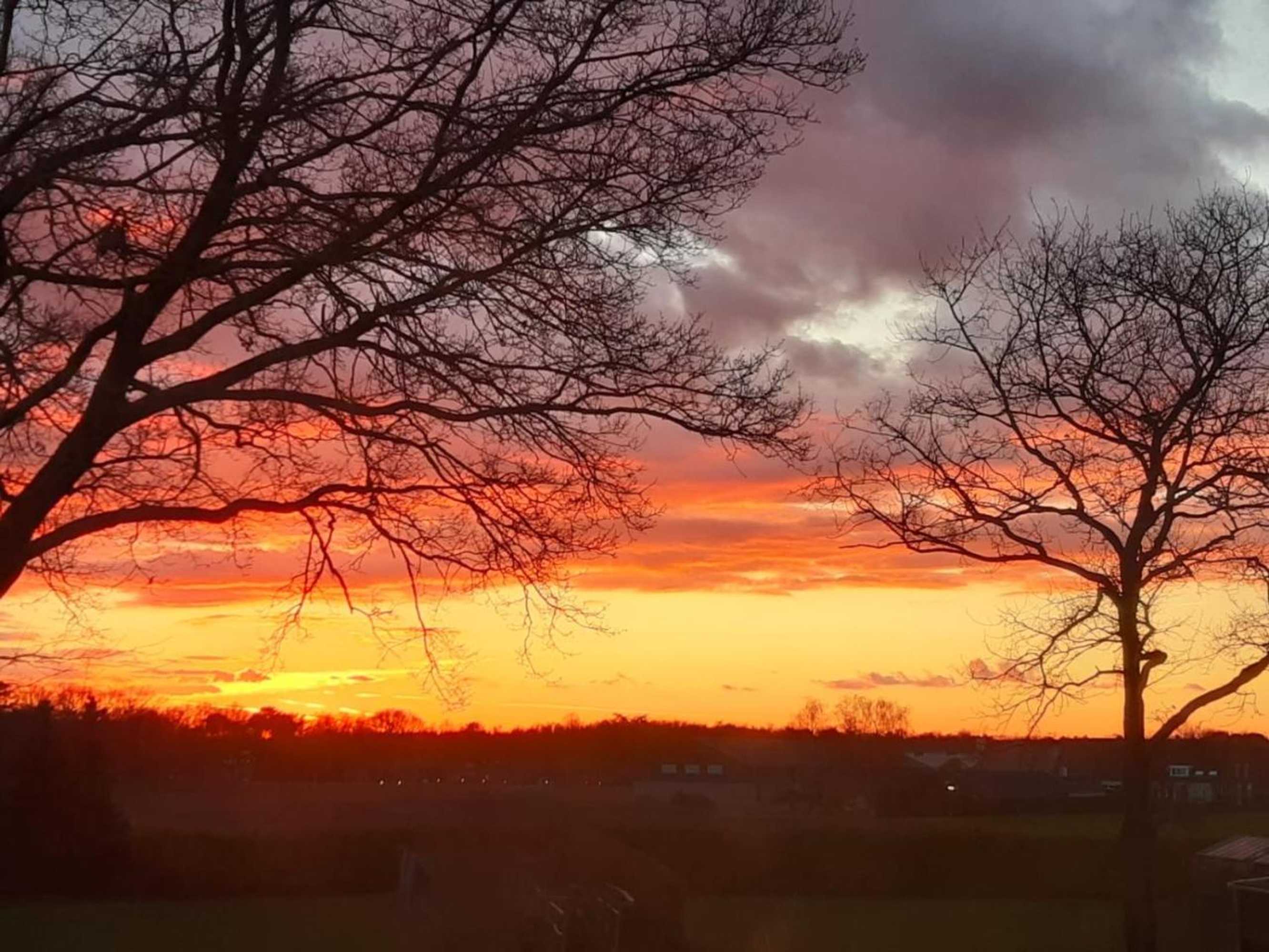 Gift card for Chalet de Kleine Eekhoorn