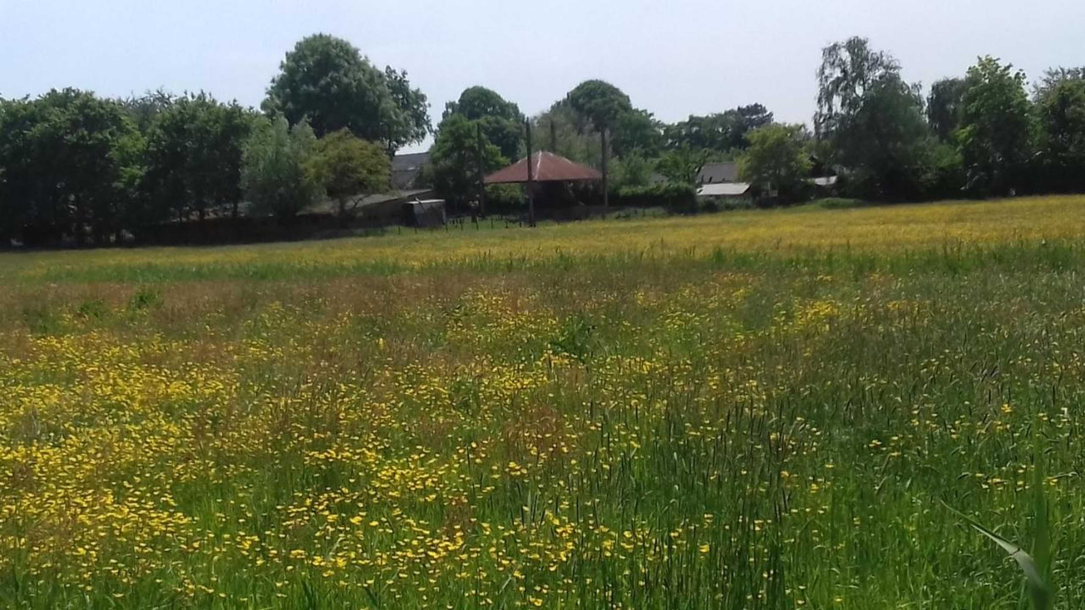 Gift card for Ecolodge de Parel Schoorl