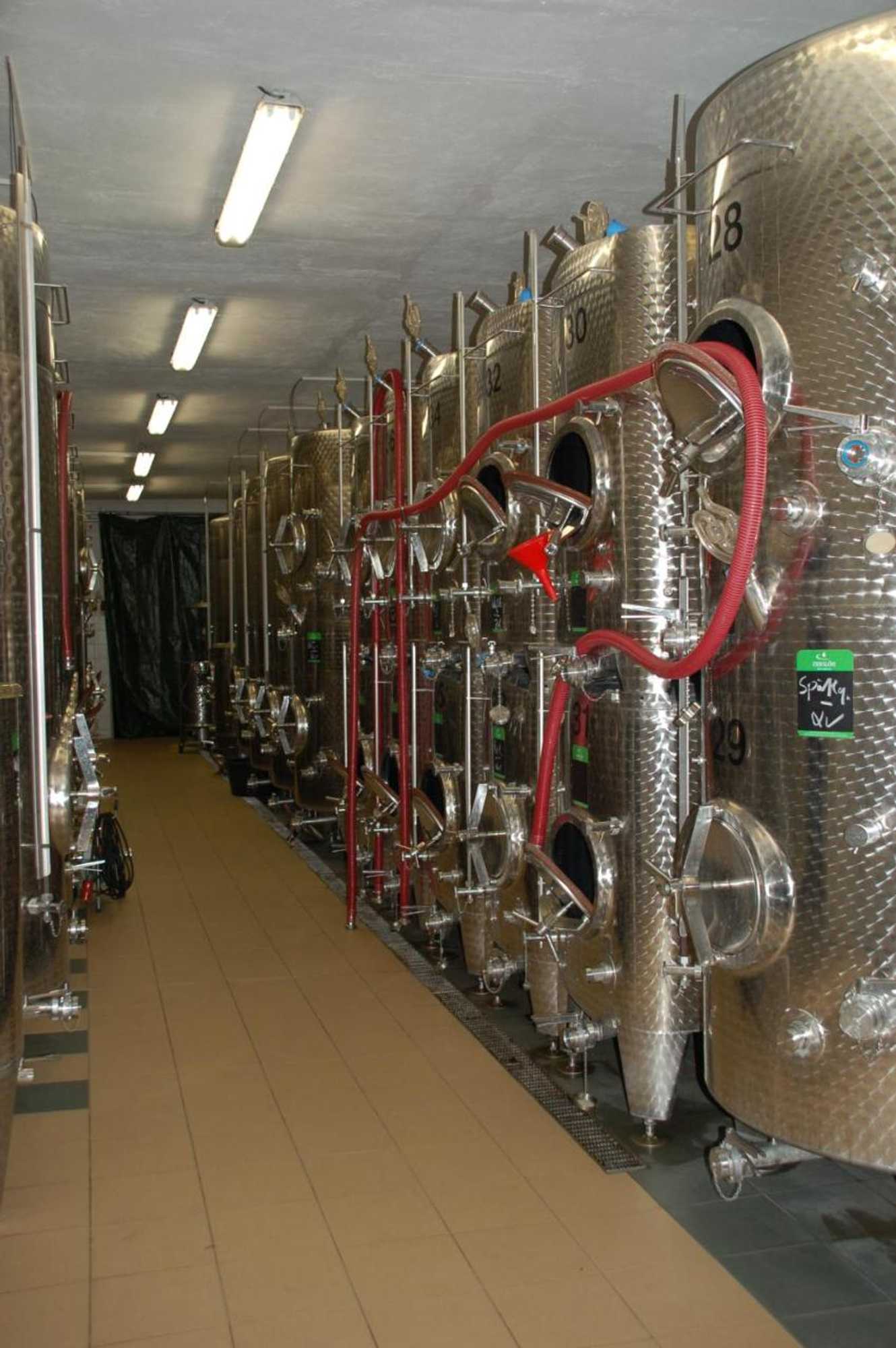 Gift card for Naumburger Wein & Sekt Manufaktur - Pension 1824