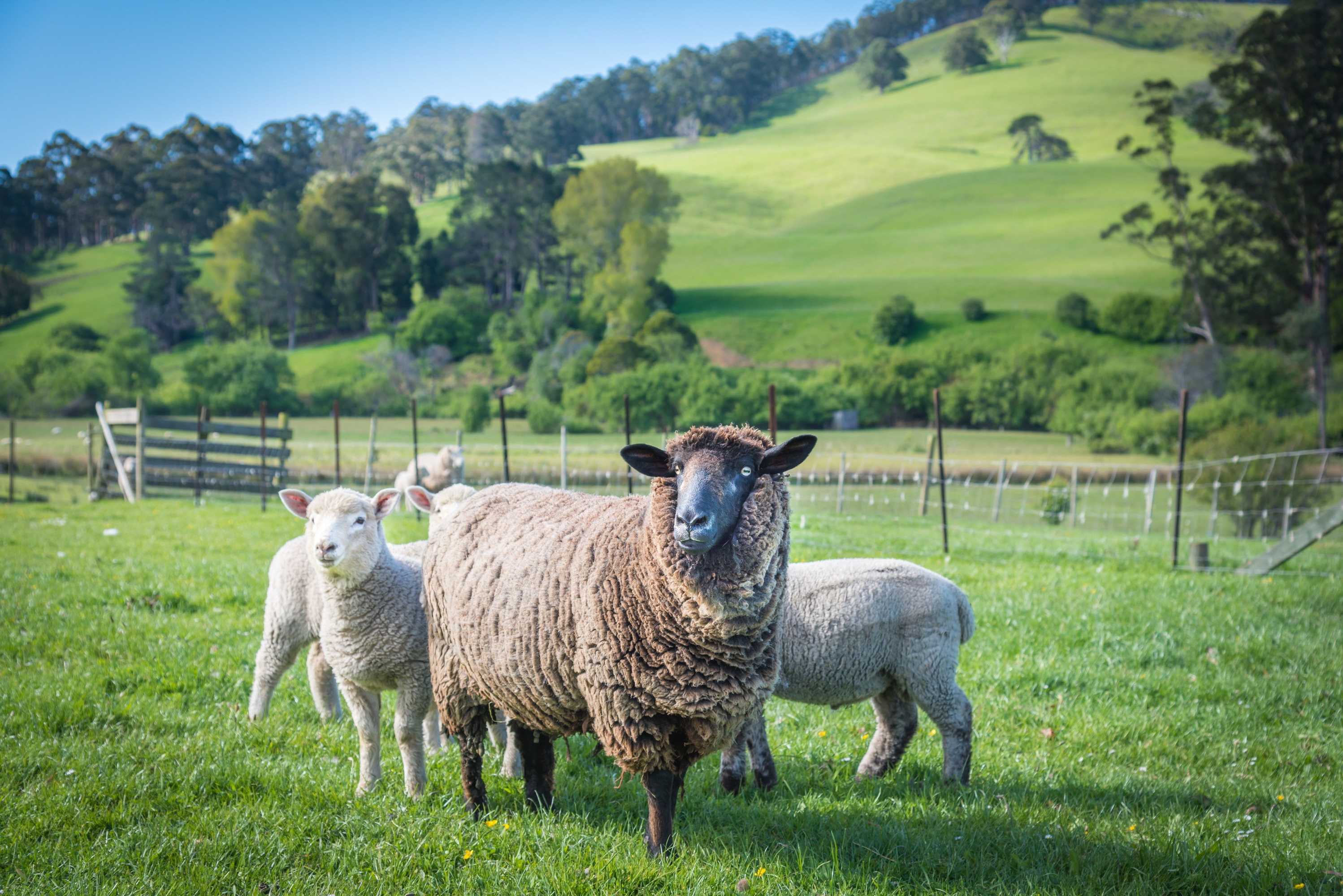 Gift card for Ashdowns of Dover B&b